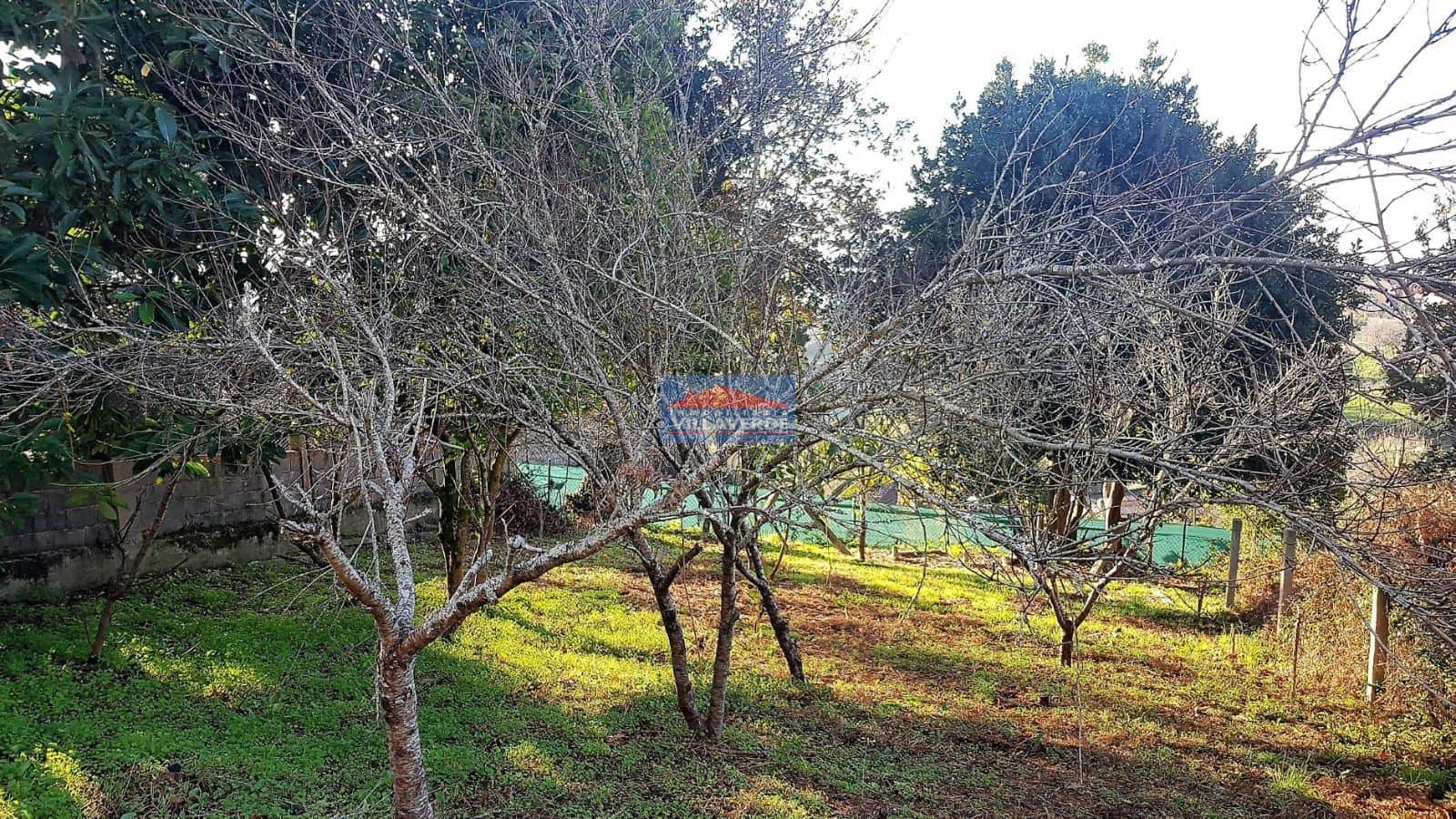 FINCA NO EDIFICABLE EN COIRO (CANGAS) - Foto 4