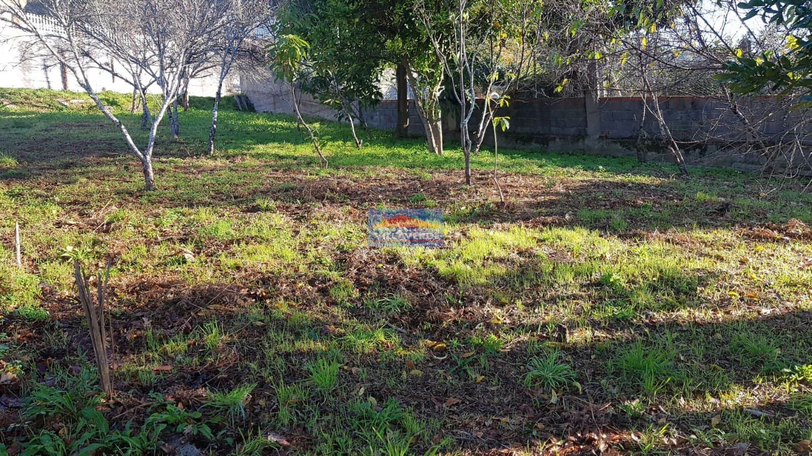 FINCA NO EDIFICABLE EN COIRO (CANGAS) - Foto 5