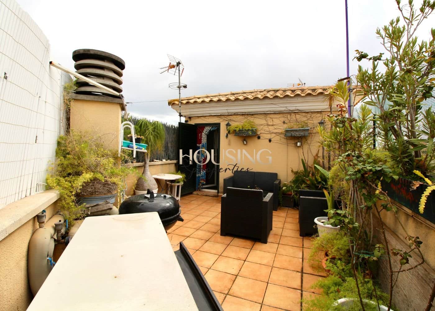 AMPLIO ADOSADO EN EL AMANECER - Foto 3