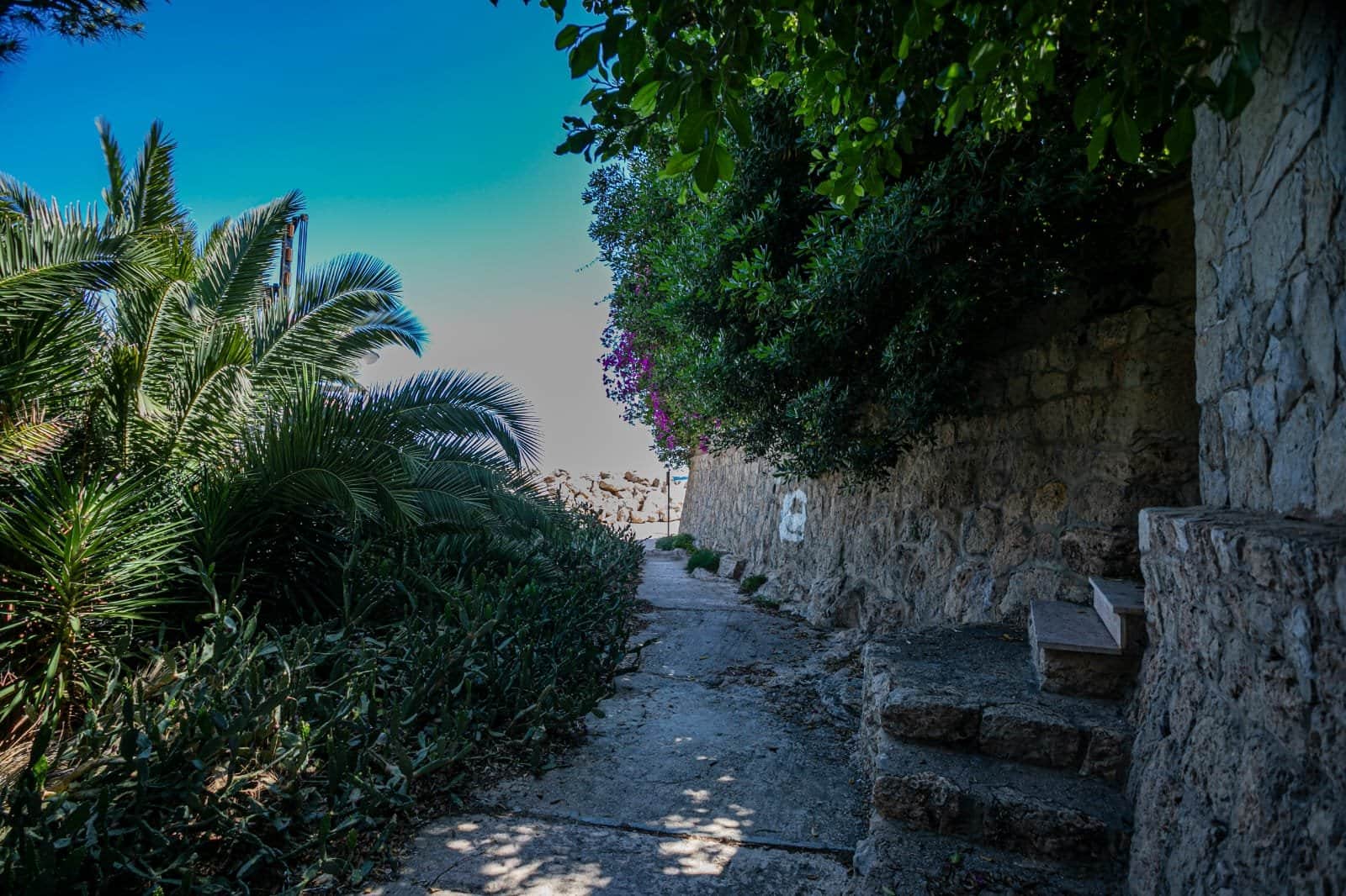 UNIFAMILIAR EN SAN AGUSTIN - Foto 4