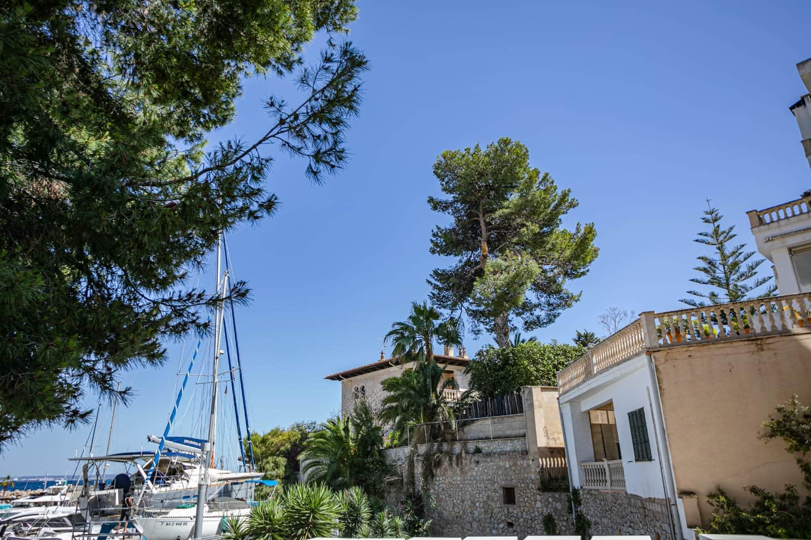 UNIFAMILIAR EN SAN AGUSTIN - Foto 1