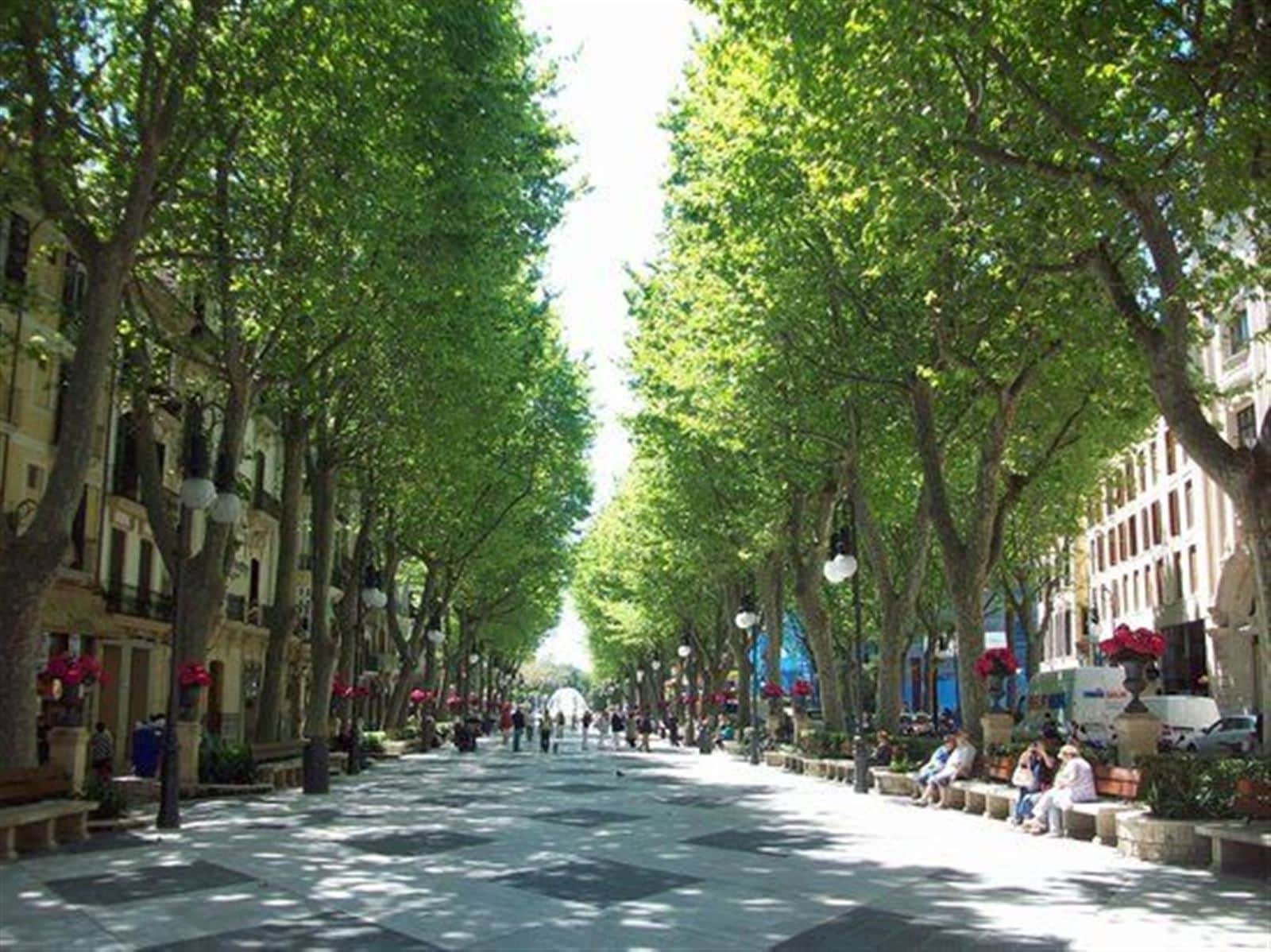 ZONA RAMBLAS. PEQUEÑO EDIFICIO A REFORMAR - Foto 3