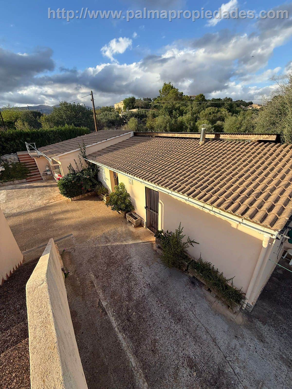 Finca - Inca - Foto 1