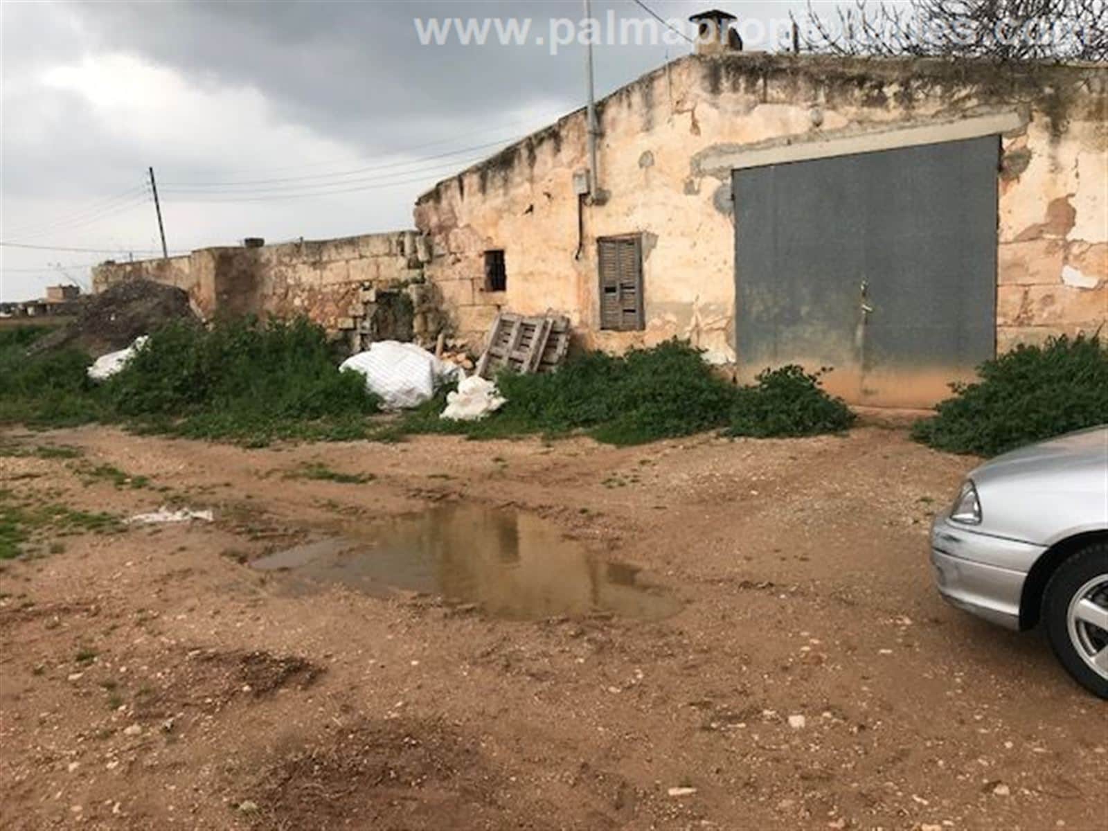 Terreno - Sa Pobla - Foto 4