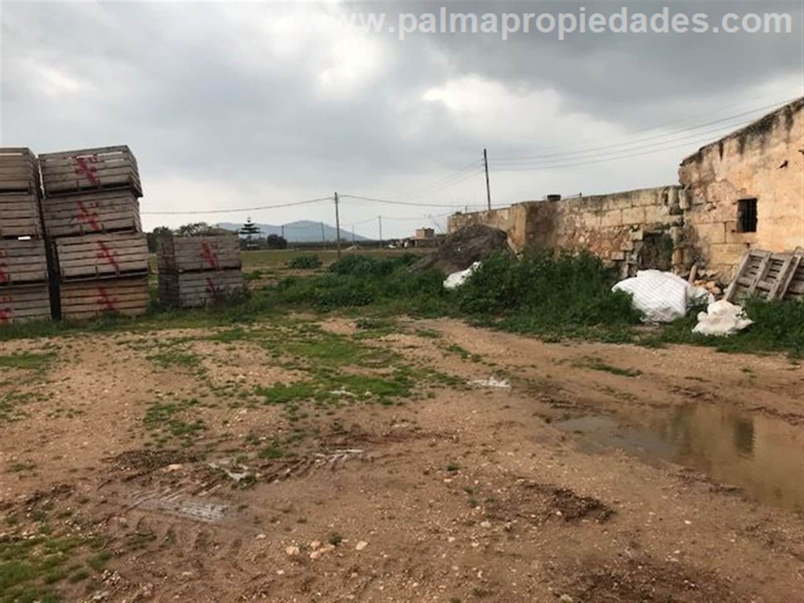 Terreno - Sa Pobla - Foto 5