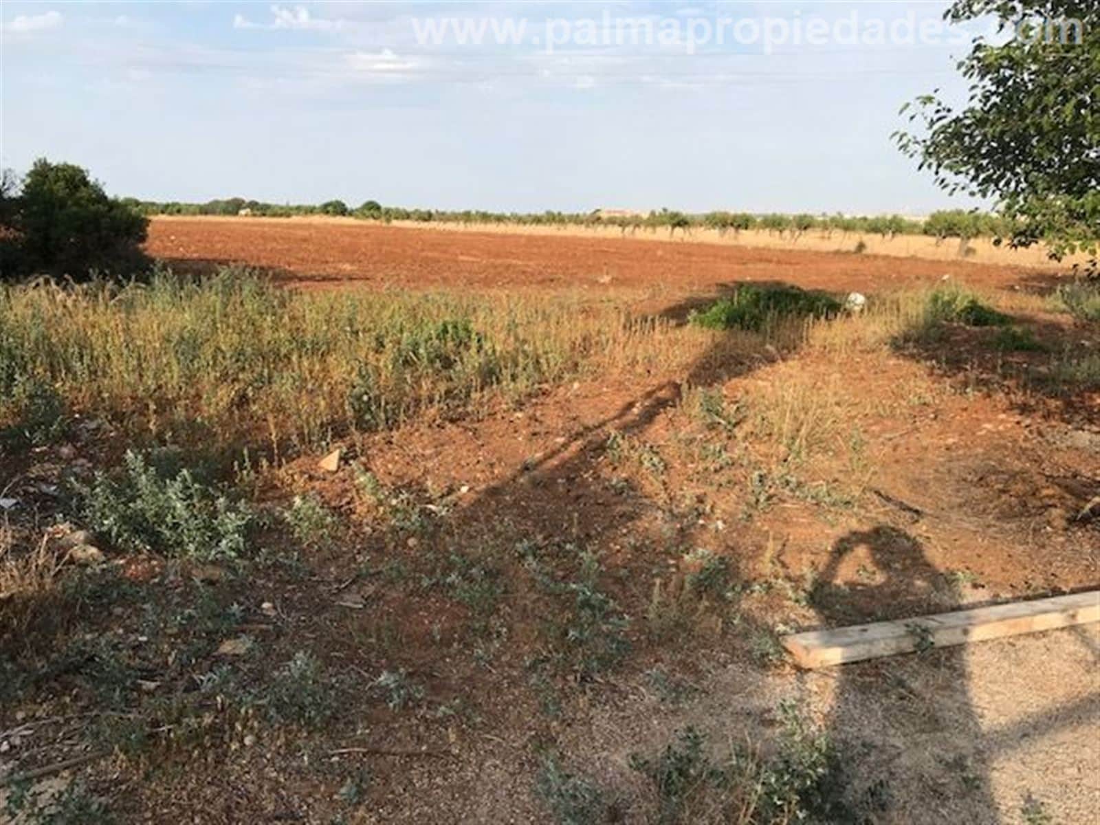 FINCA RUSTICA EN SA POBLA -TALAPI - Foto 3