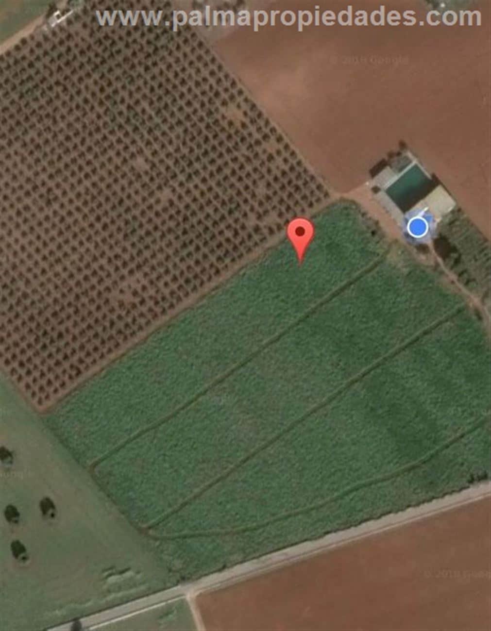 FINCA RUSTICA EN SA POBLA -TALAPI - Foto 2