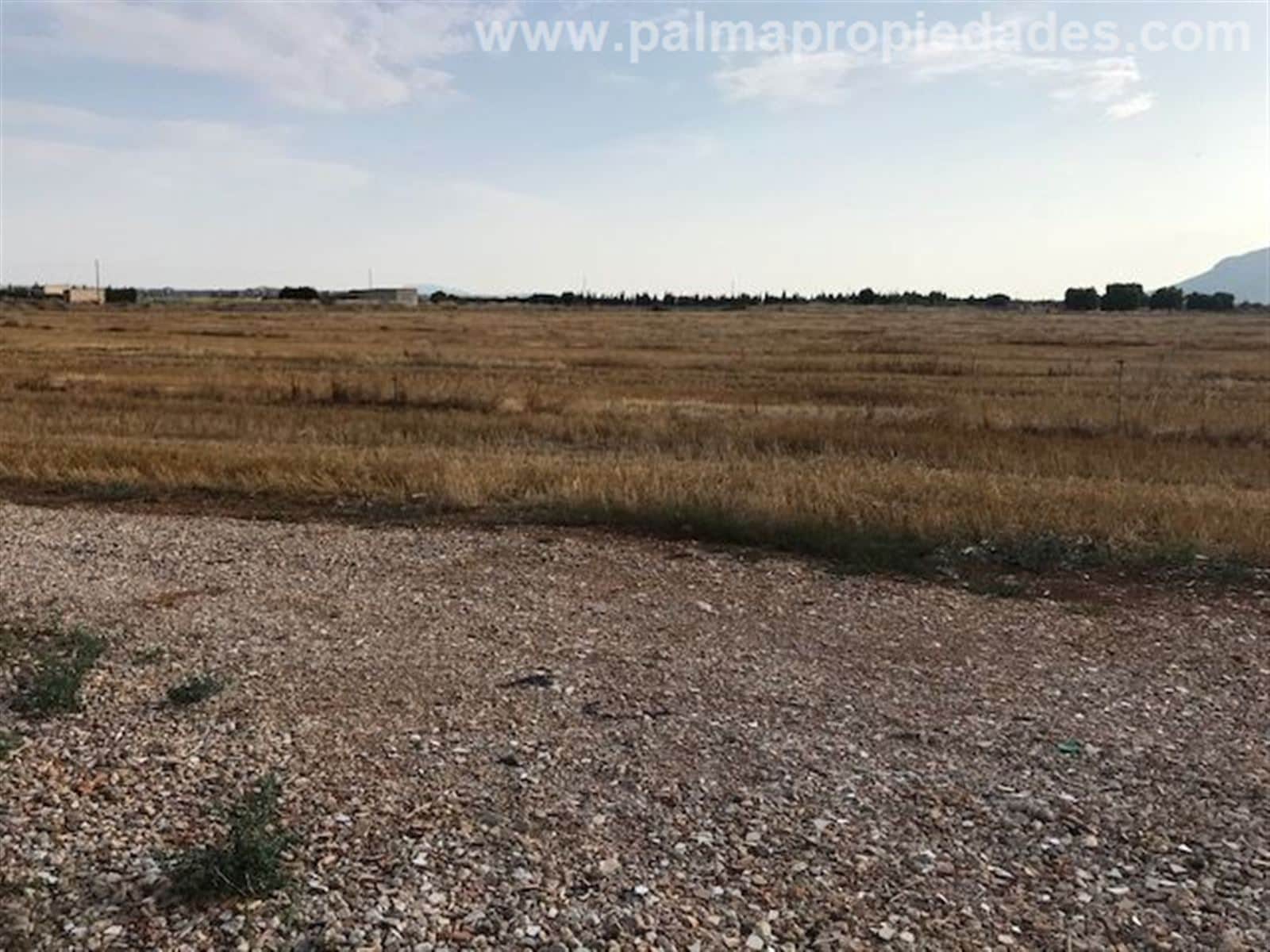 FINCA RUSTICA EN SA POBLA -TALAPI - Foto 4