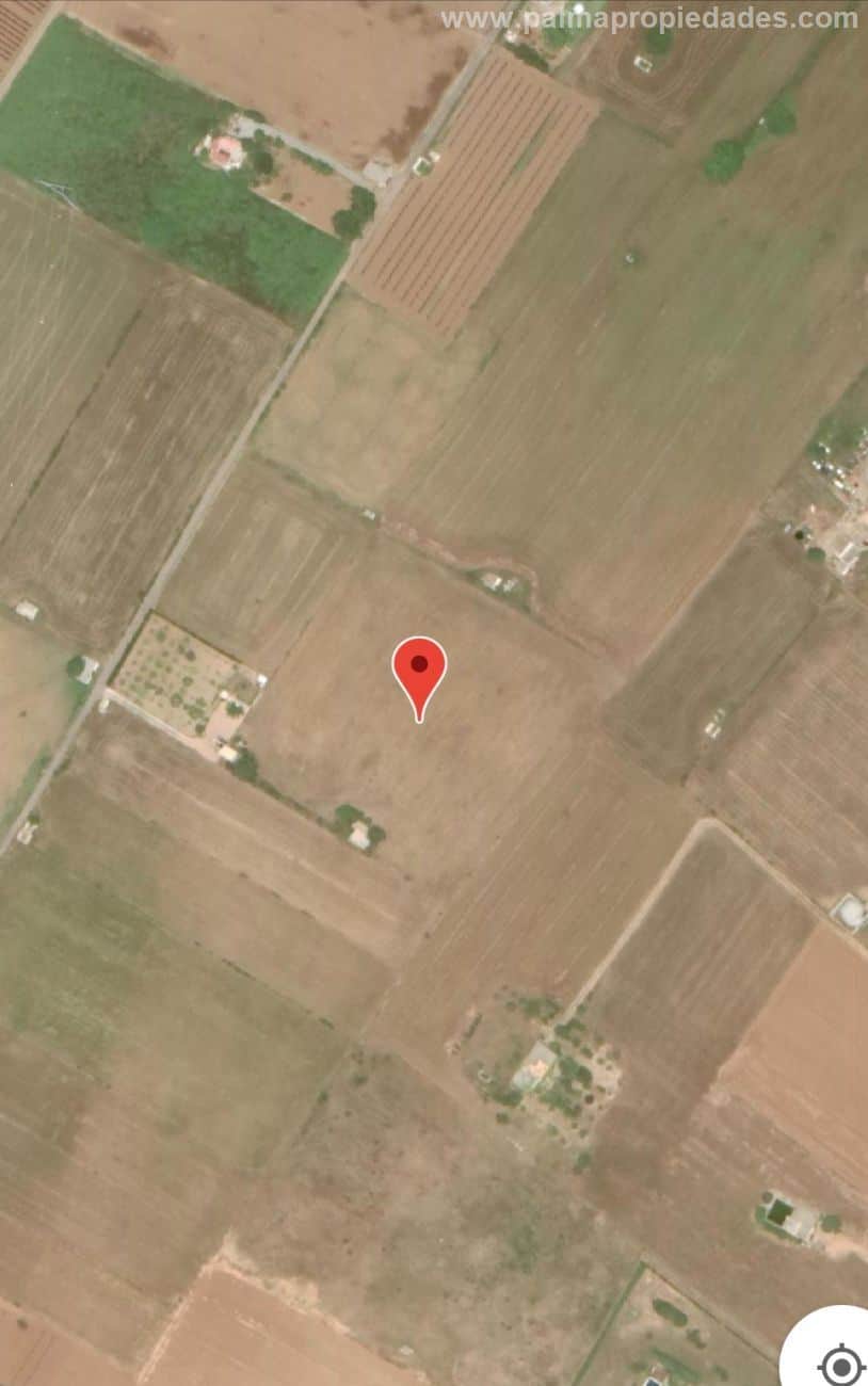 TERRENO RUSTICO DE 14458M2 EN MURO - Foto 2