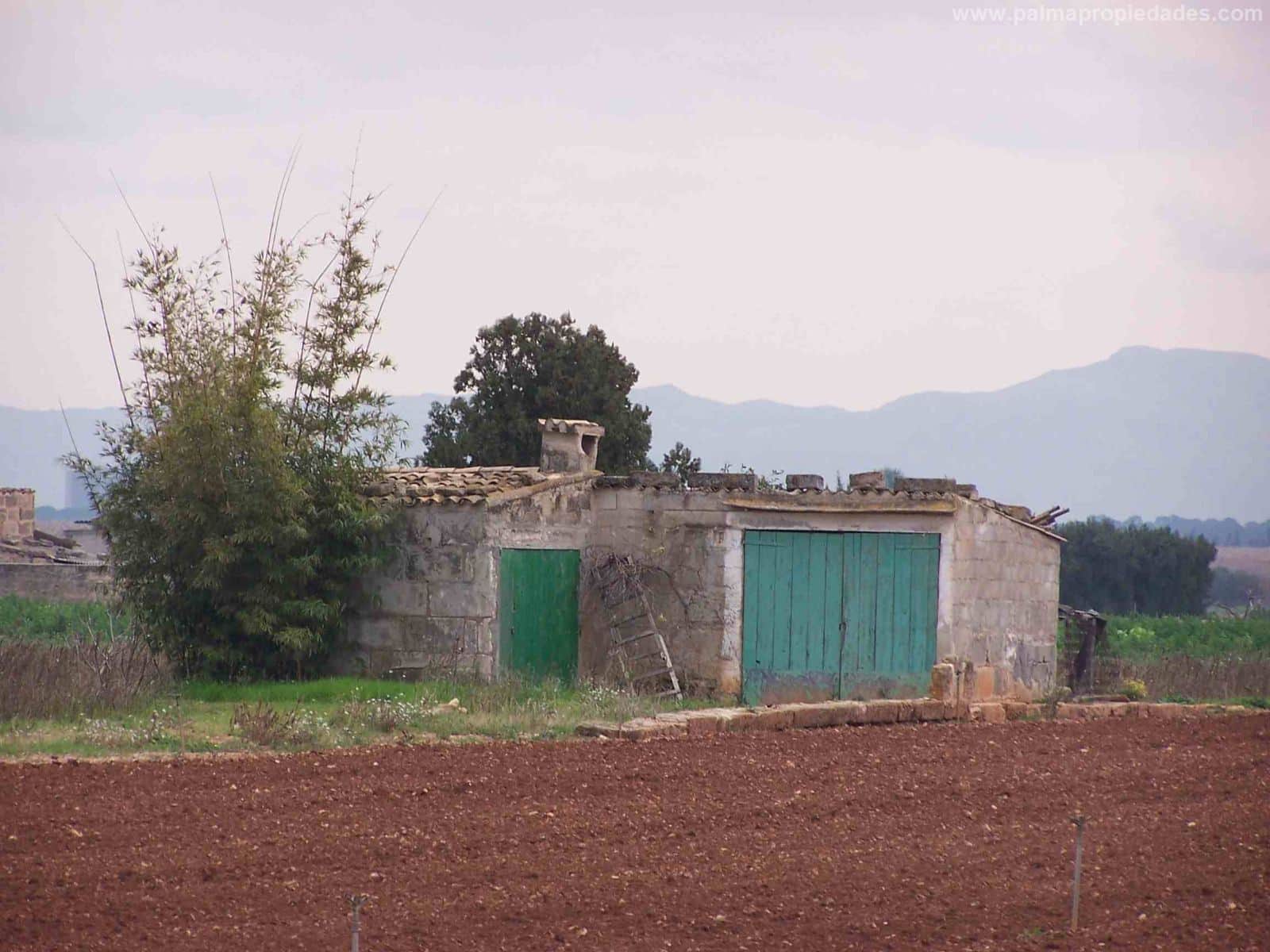 TERRENO RUSTICO DE 14458M2 EN MURO - Foto 1
