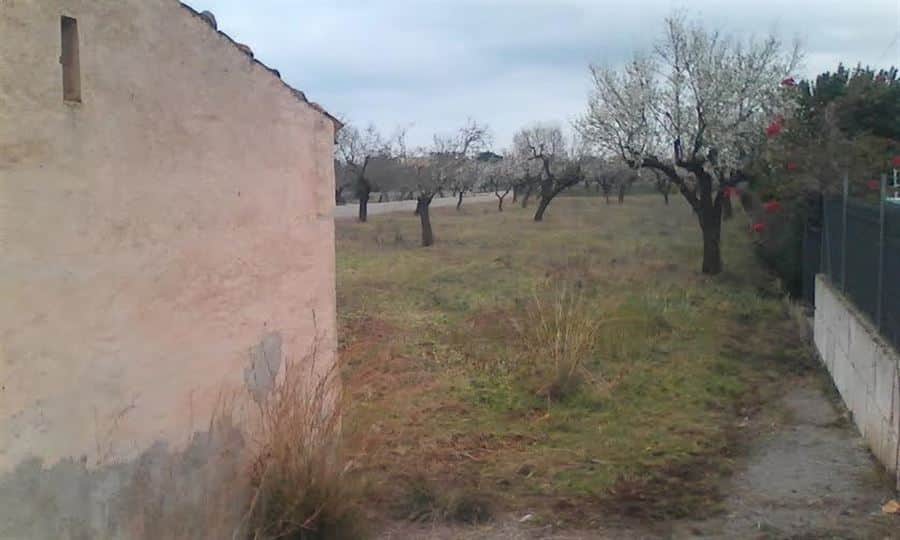 RUSTICA EN LLOSETA - Foto 2