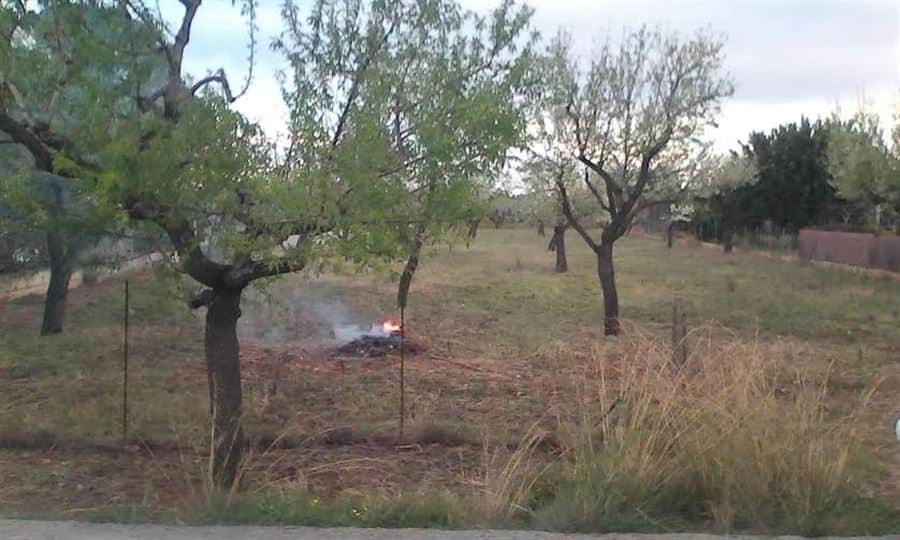 RUSTICA EN LLOSETA - Foto 3