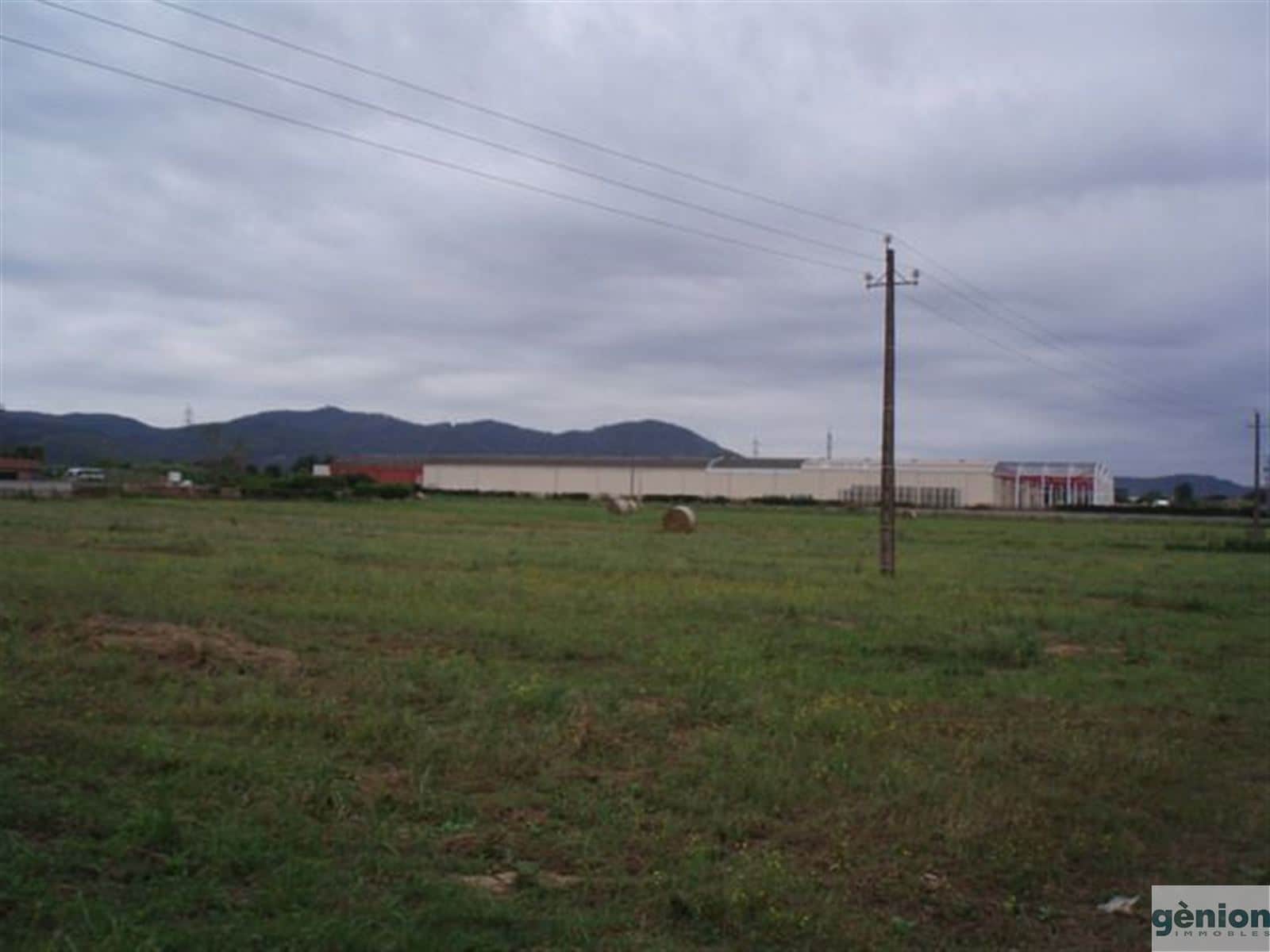 LOTE DE PARCELAS - Foto 5
