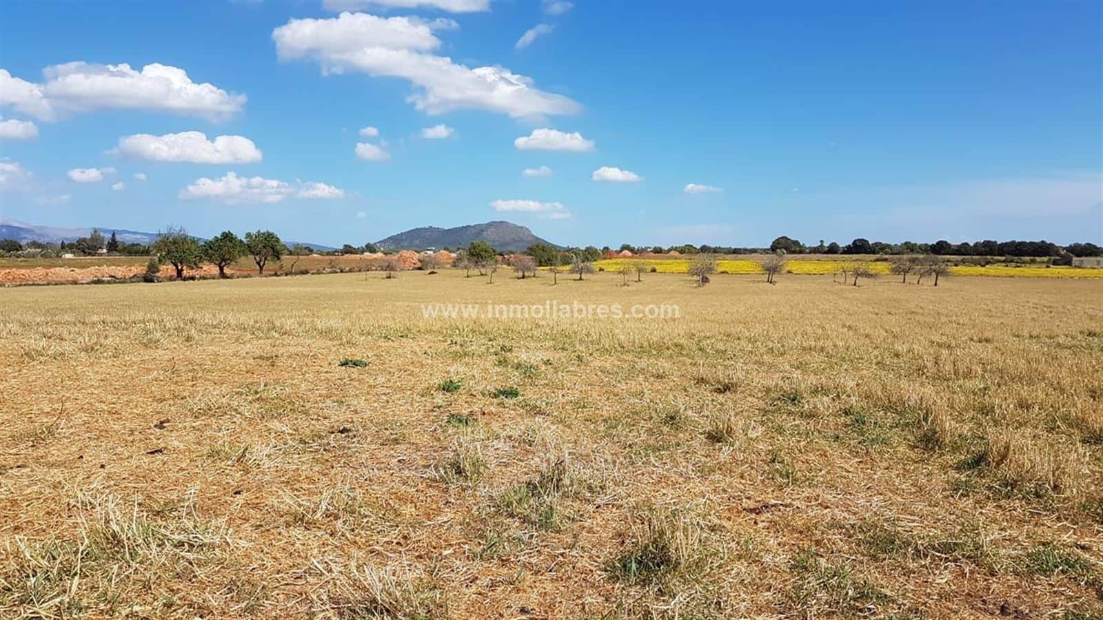 Gran finca rústica edificable - Foto 1