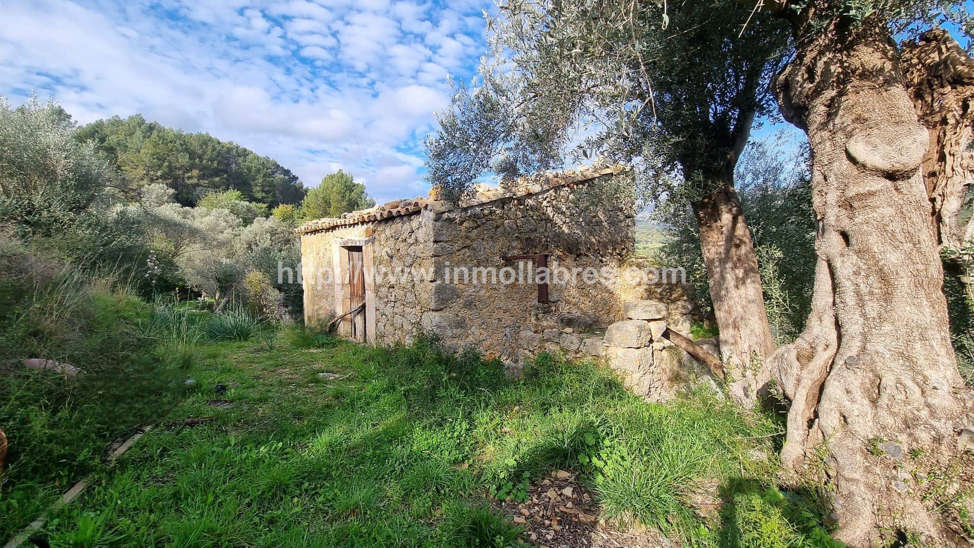 ESPECTACULAR FINCA EN SELVA - Foto 1