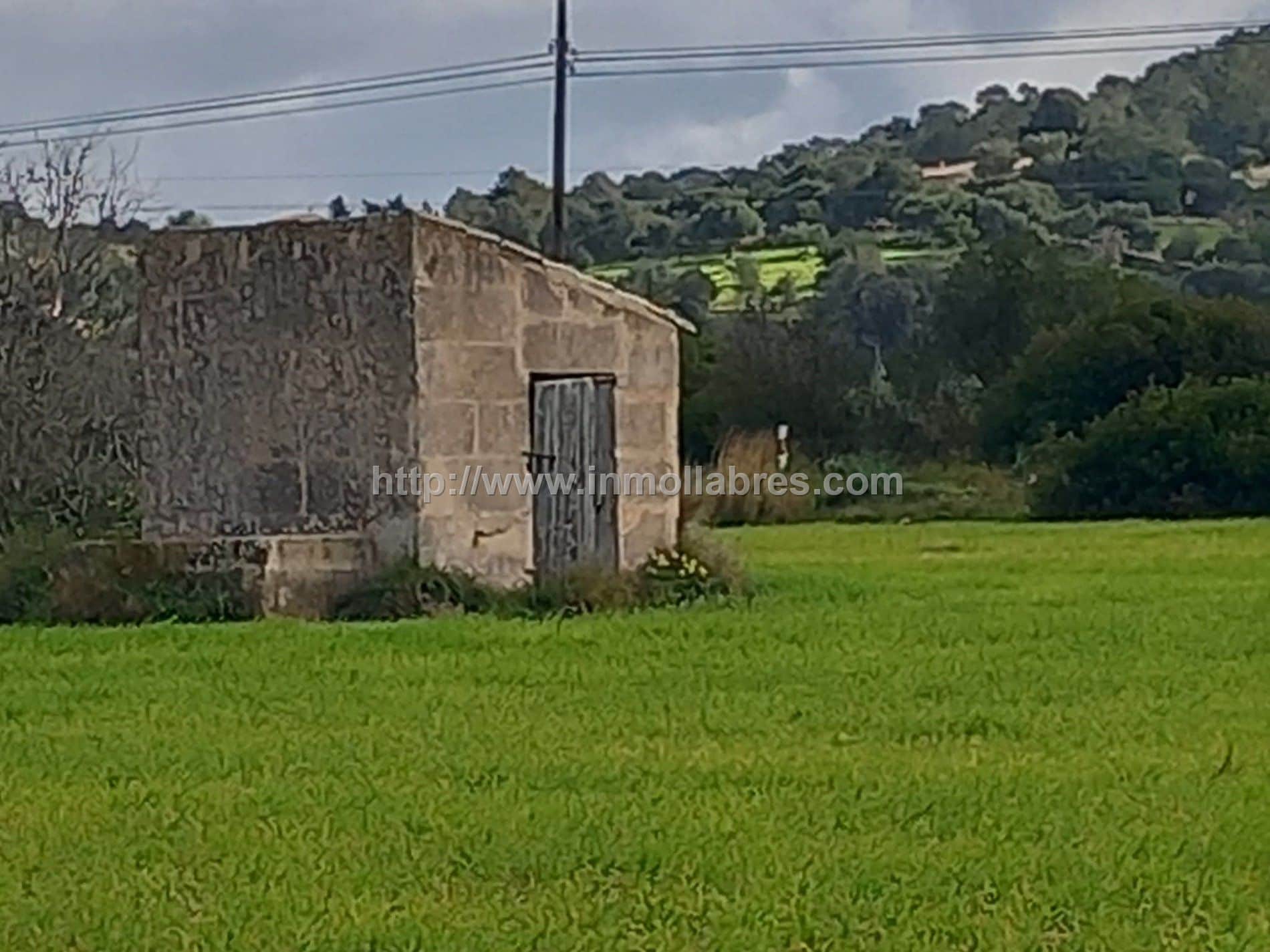 BONITA FINCA EDIFICABLE EN MANACOR - Foto 1
