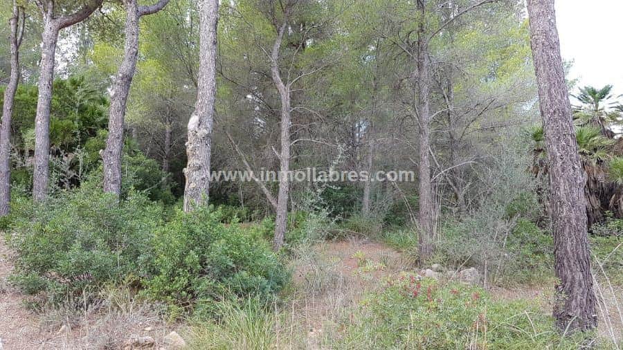 OPORTUNIDAD SOLAR EN BETLEM - Foto 1