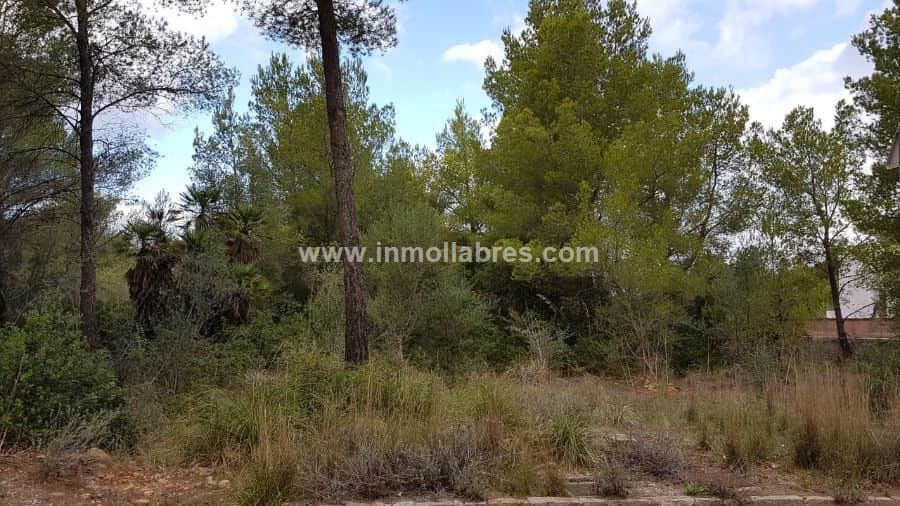 Finca rústica en venta en Betlem, Arta - Foto 4