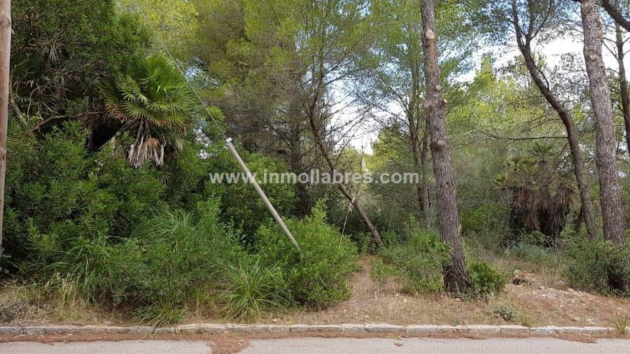 Finca rústica en venta en Betlem, Arta - Foto 2