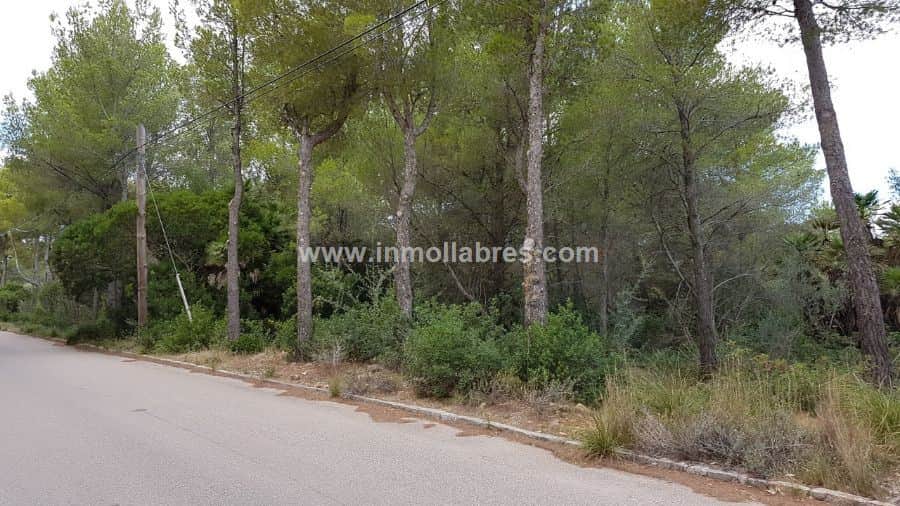Finca rústica en venta en Betlem, Arta - Foto 3