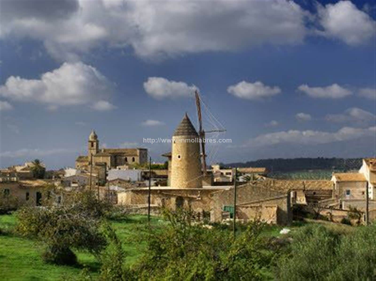 SOLAR URBANO EDIFICABLE EN EL PUEBLO DE MARIA DE LA SALUD - Foto 1