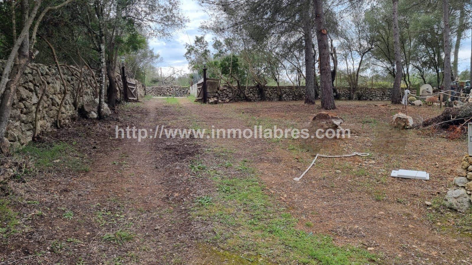 BONITA FINCA EN LLORET DE VISTALEGRE - Foto 1