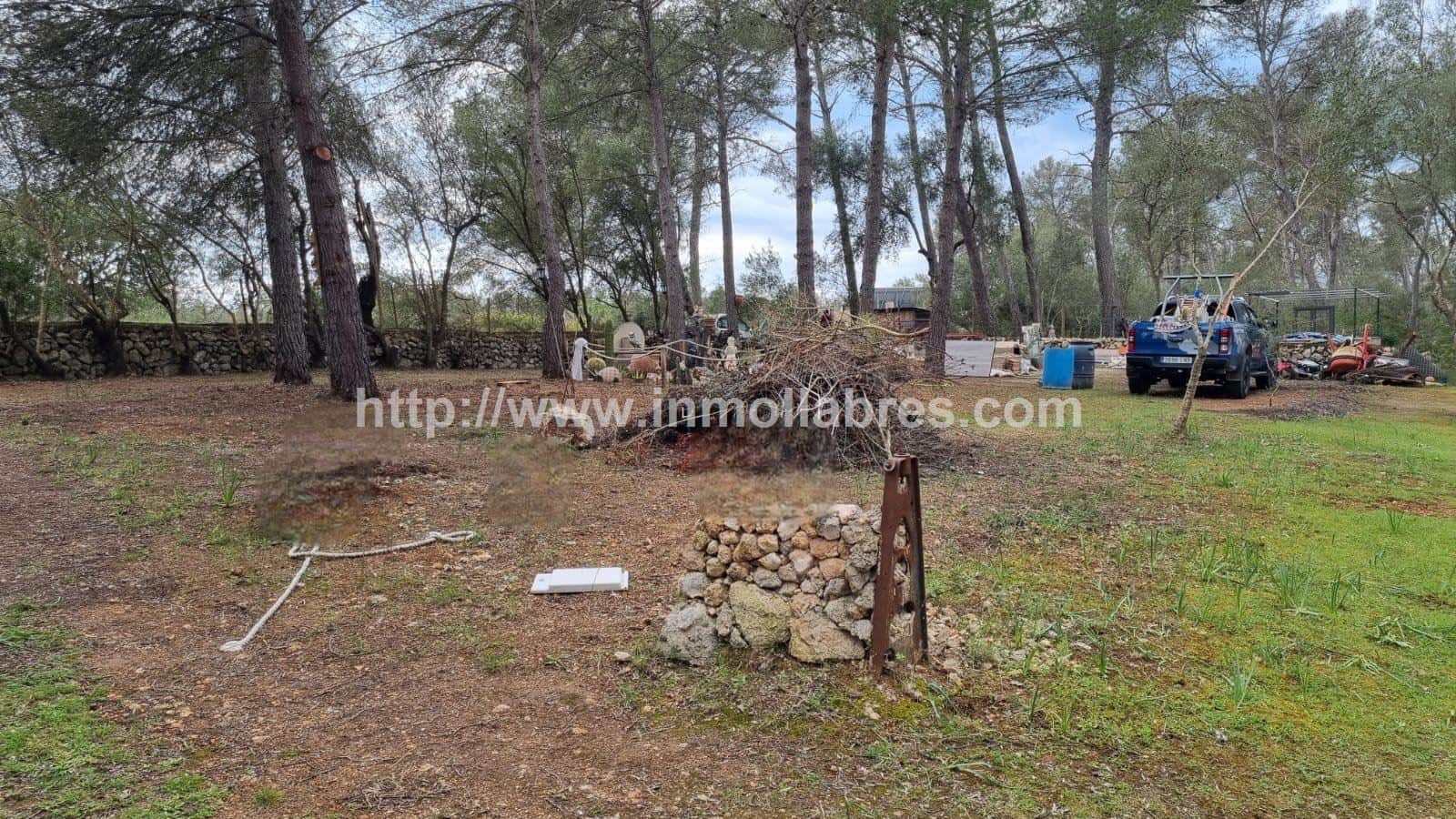 BONITA FINCA EN LLORET DE VISTALEGRE - Foto 3