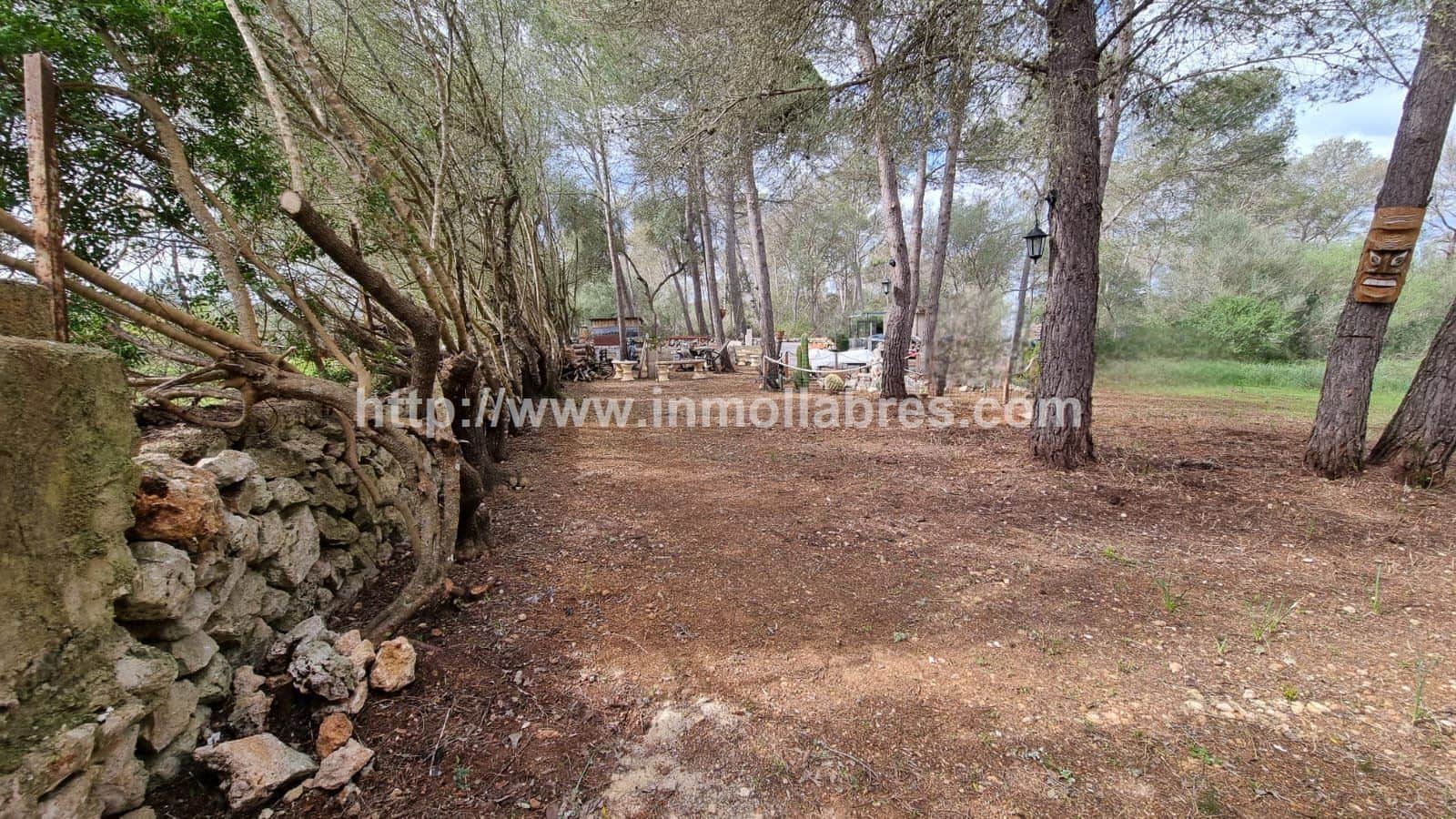 BONITA FINCA EN LLORET DE VISTALEGRE - Foto 4