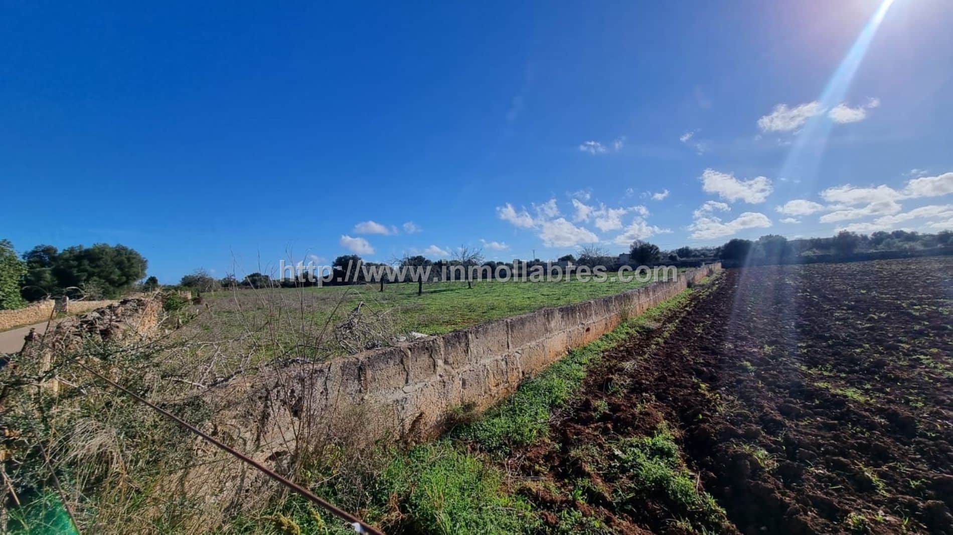 BONITA FINCA EDIFICABLE EN SANTA MARGARITA - Foto 4