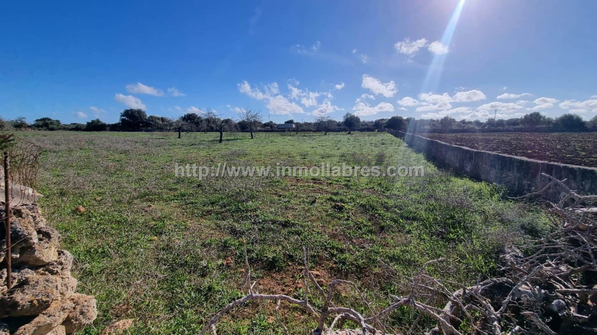 BONITA FINCA EDIFICABLE EN SANTA MARGARITA - Foto 5