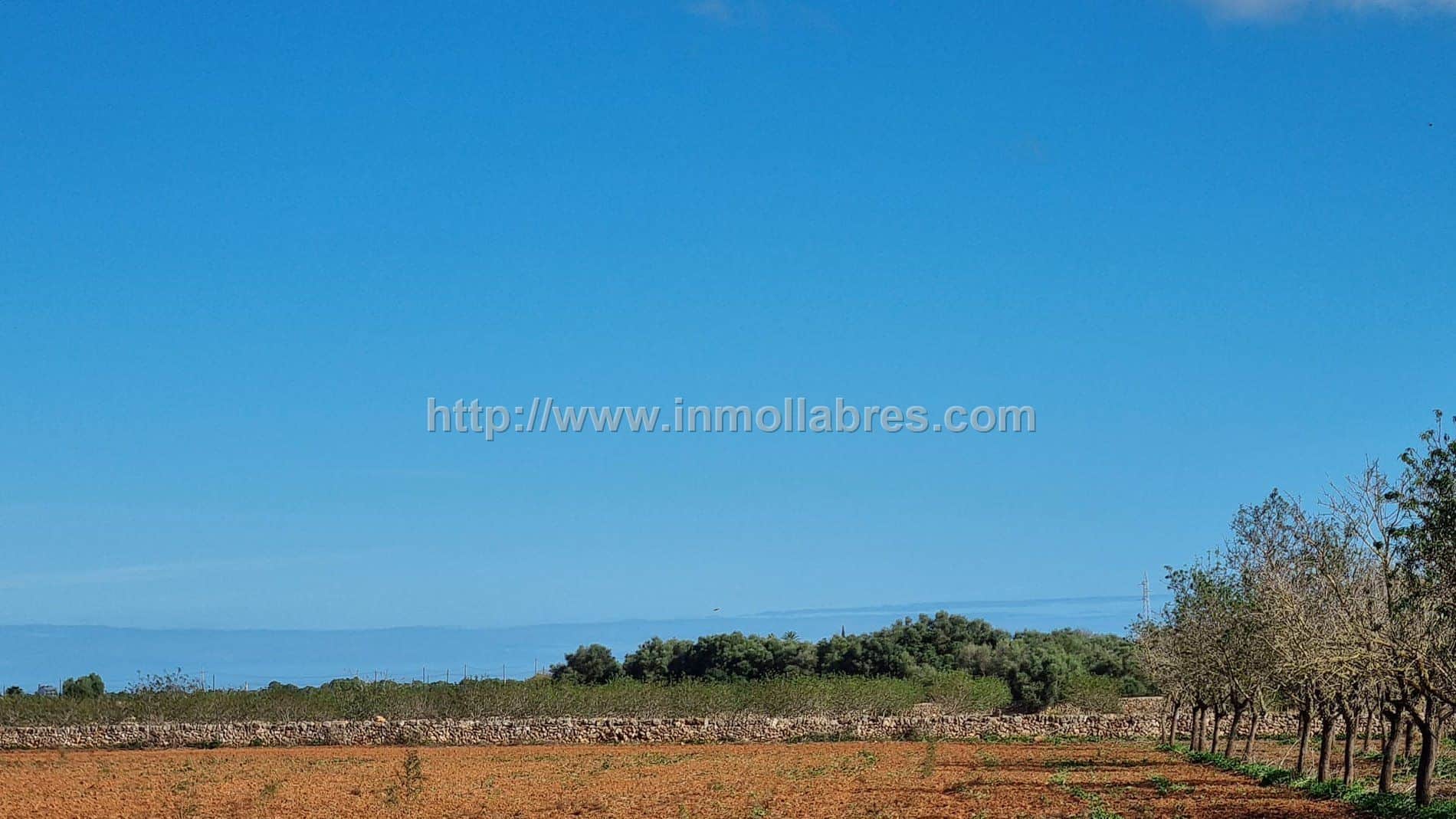 PRECIOSA FINCA CON VISTAS AL MAR - Foto 3
