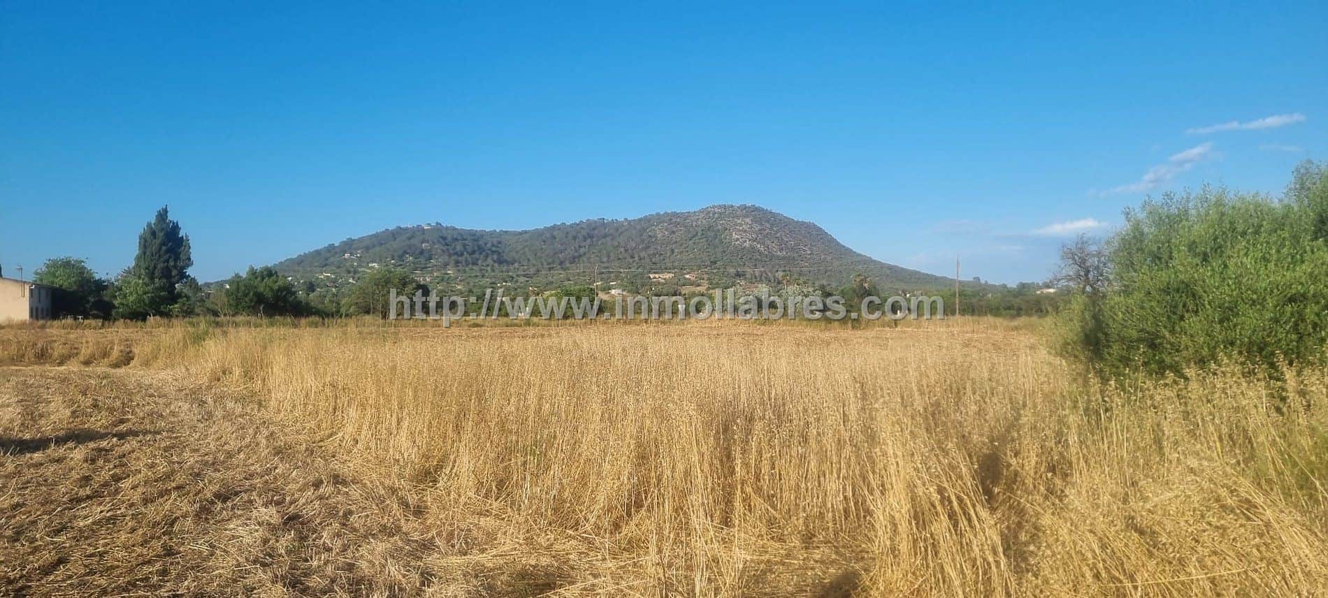 Terreno en venta en Inca - Foto 1