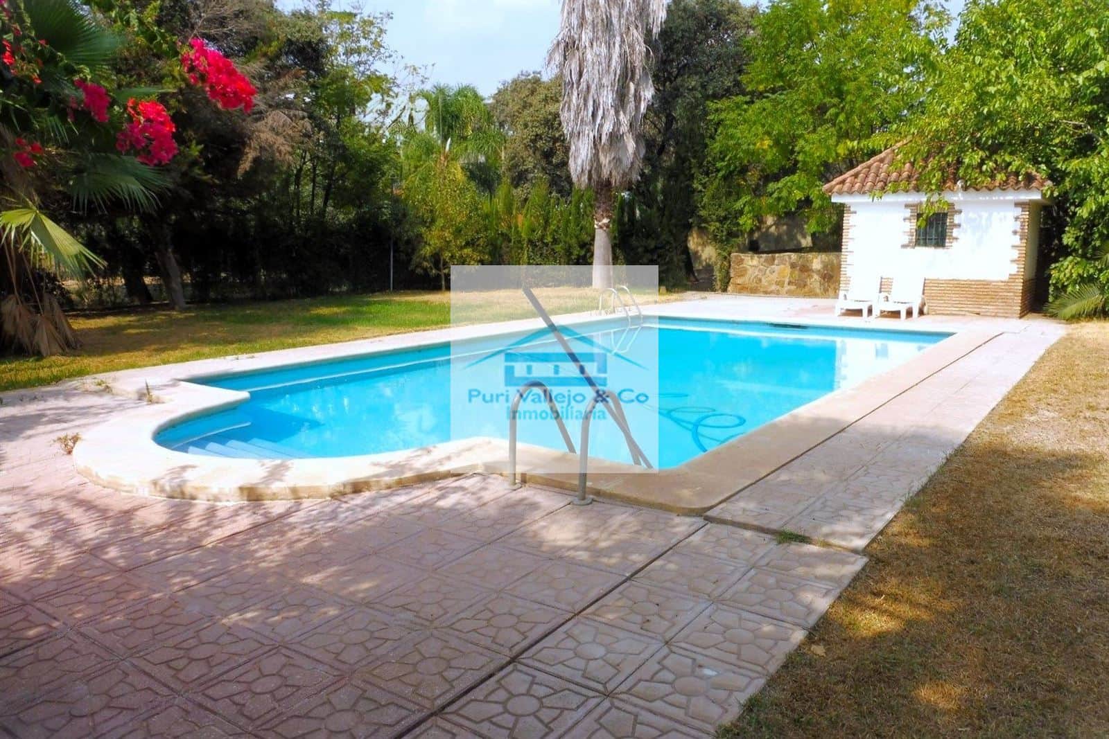 Chalet Carrera Caballo - Foto 3