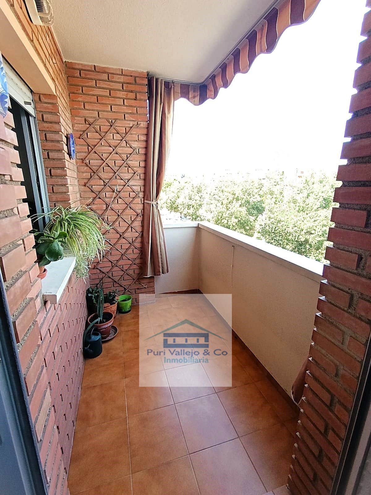 Oportunidad en Tablero-Arruzafilla. - Foto 5