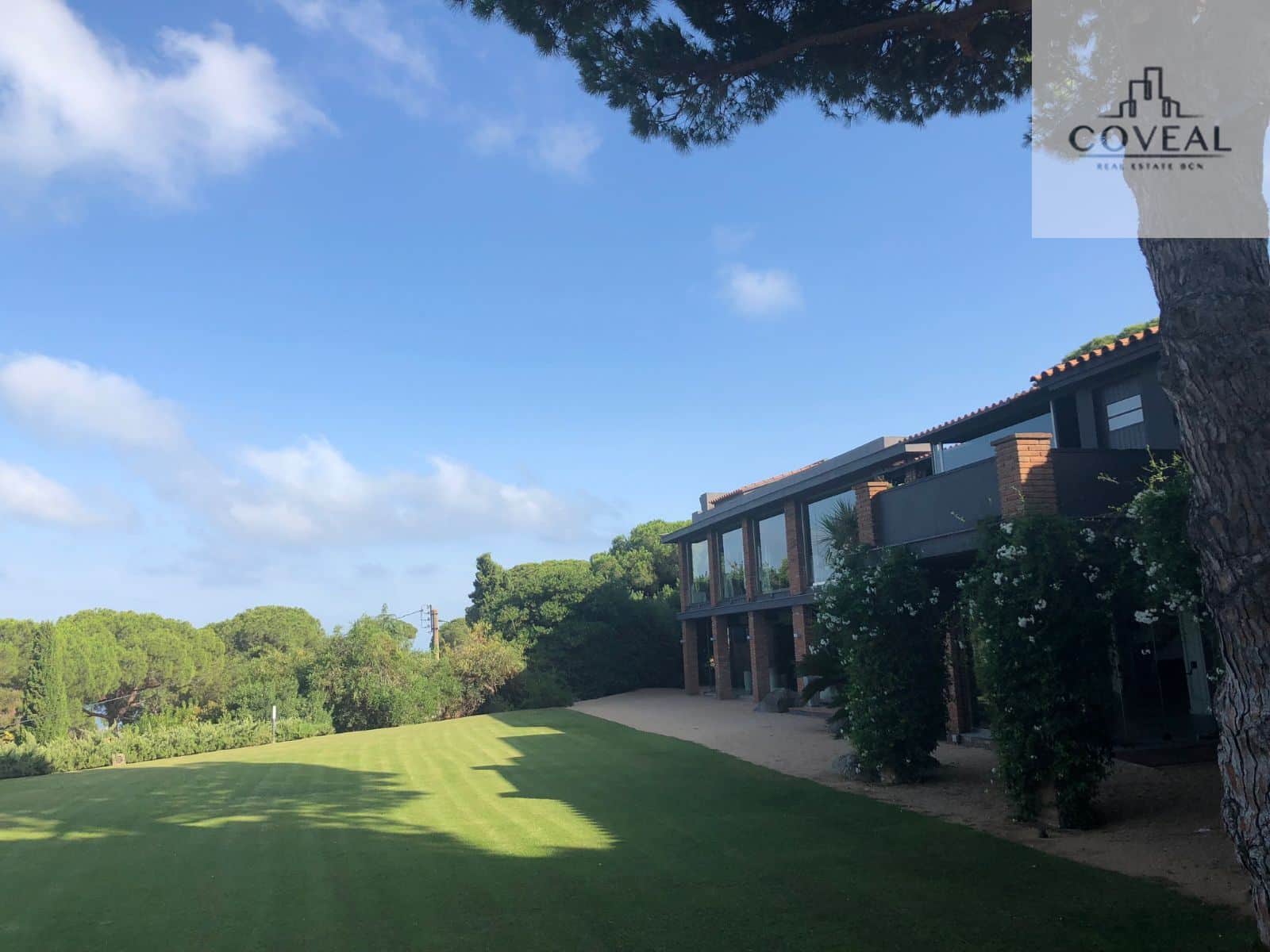 Una finca única de muchas posibilidades - Foto 4