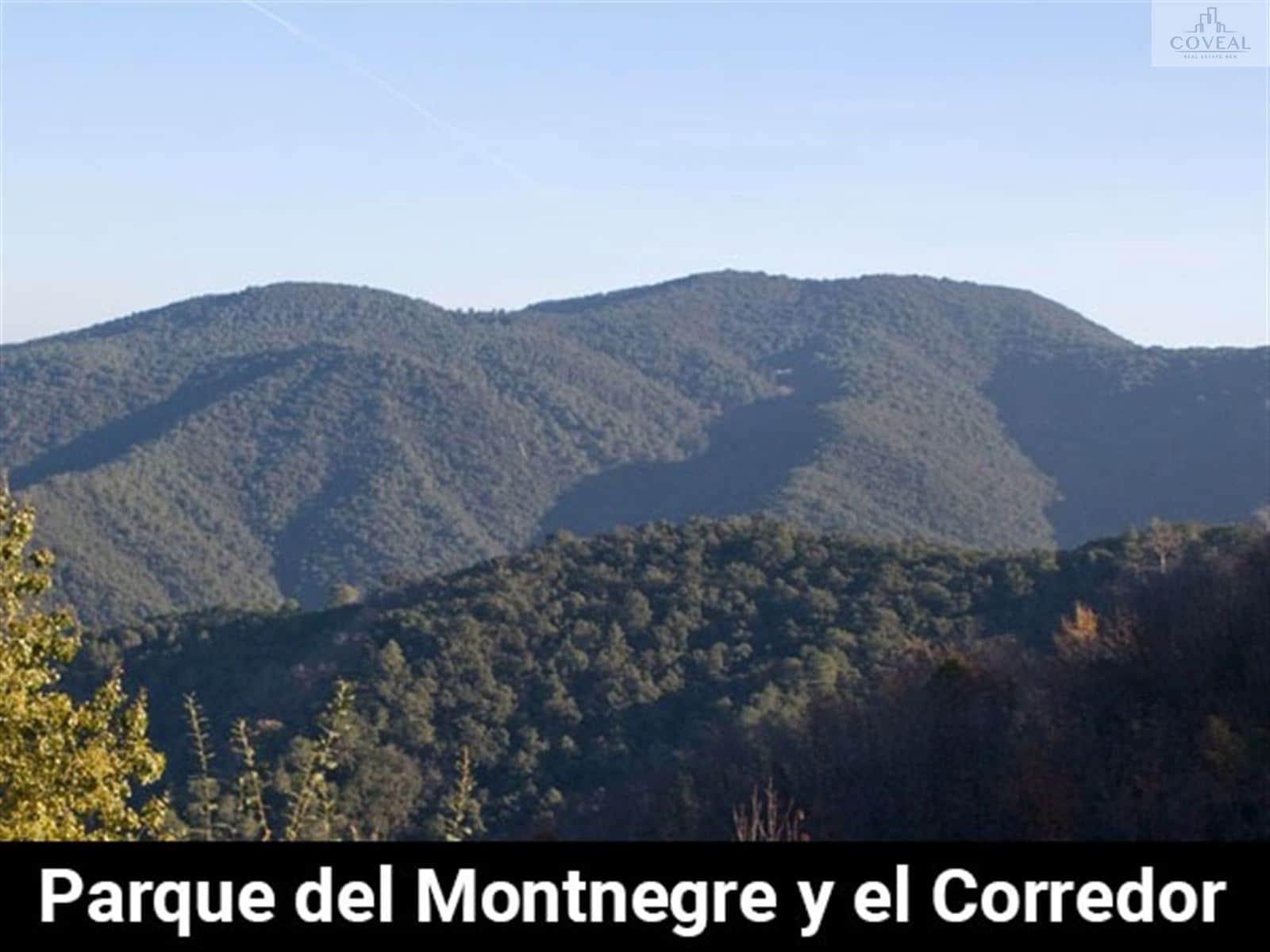 Fantástico Solar en Can Massuet. OFERTA INMEJORABLE - Foto 5