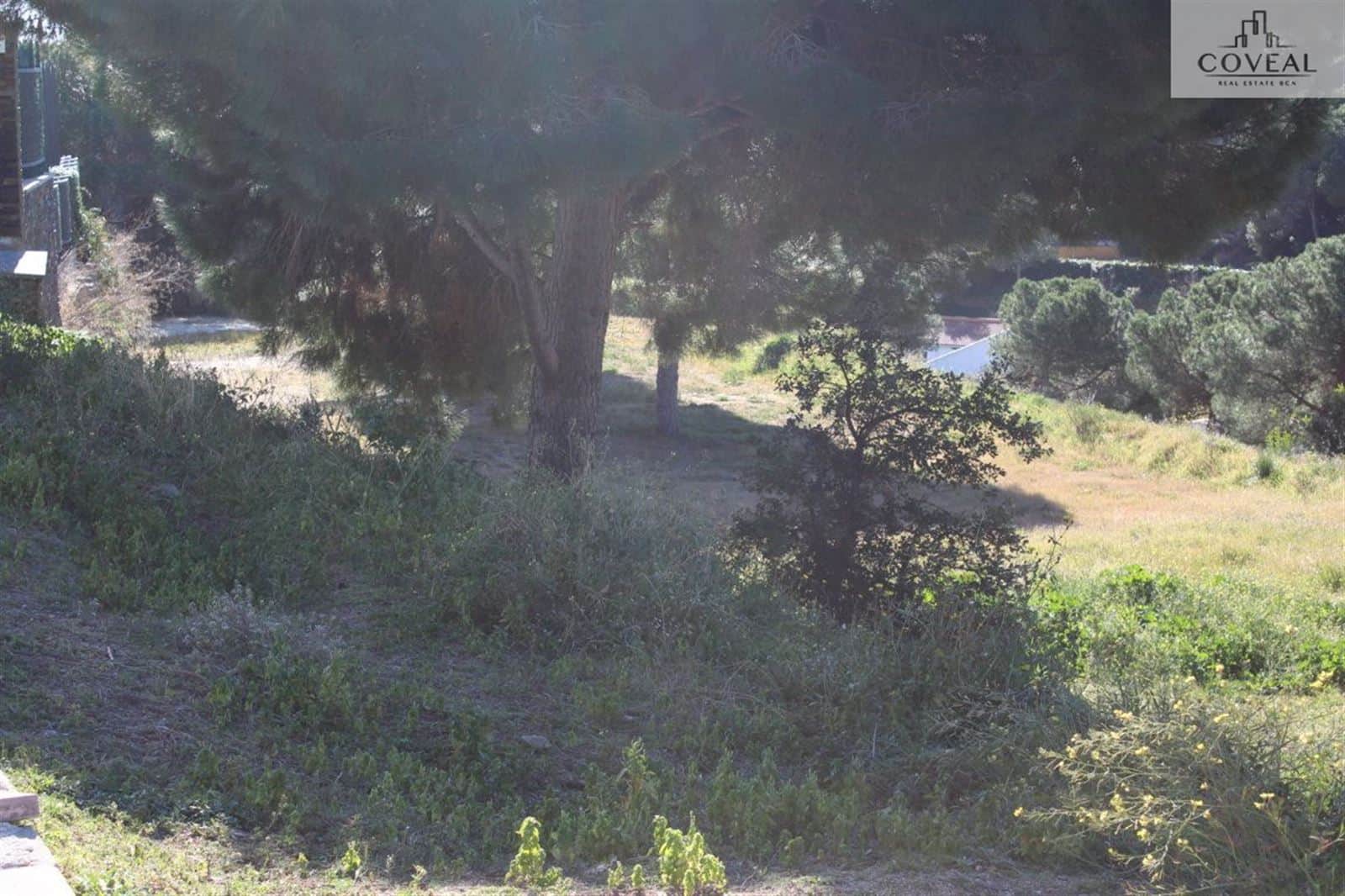 Gran parcela en Sant Andreu de Llavaneres ¡PRECIO A CONSULTAR! - Foto 2