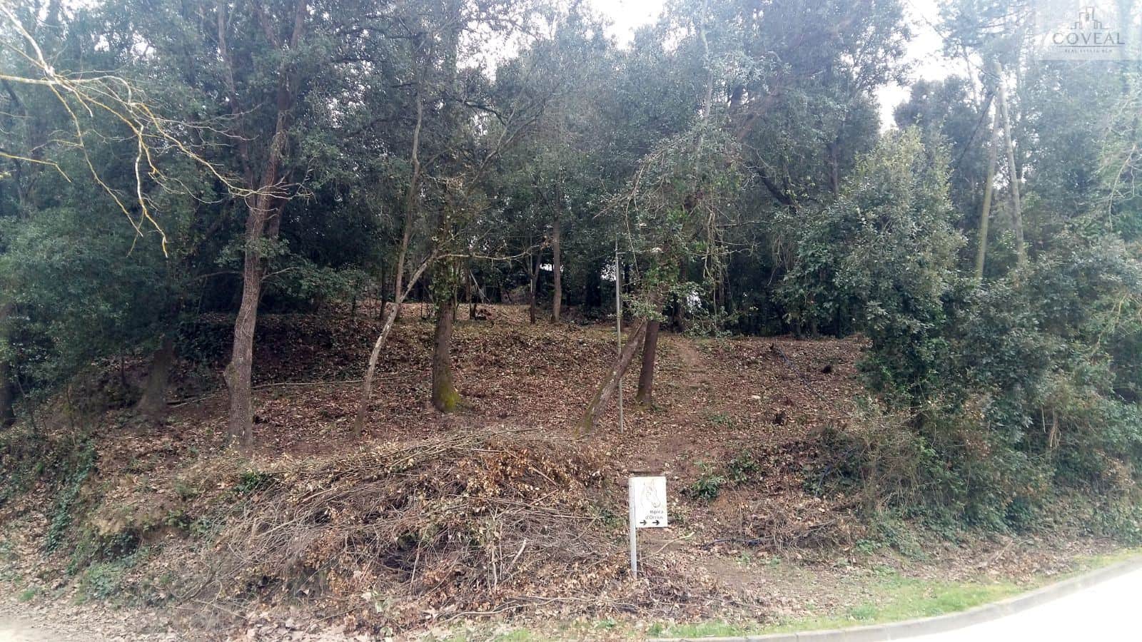 Excelente terreno situado en el pueblo de Orrius - Foto 1