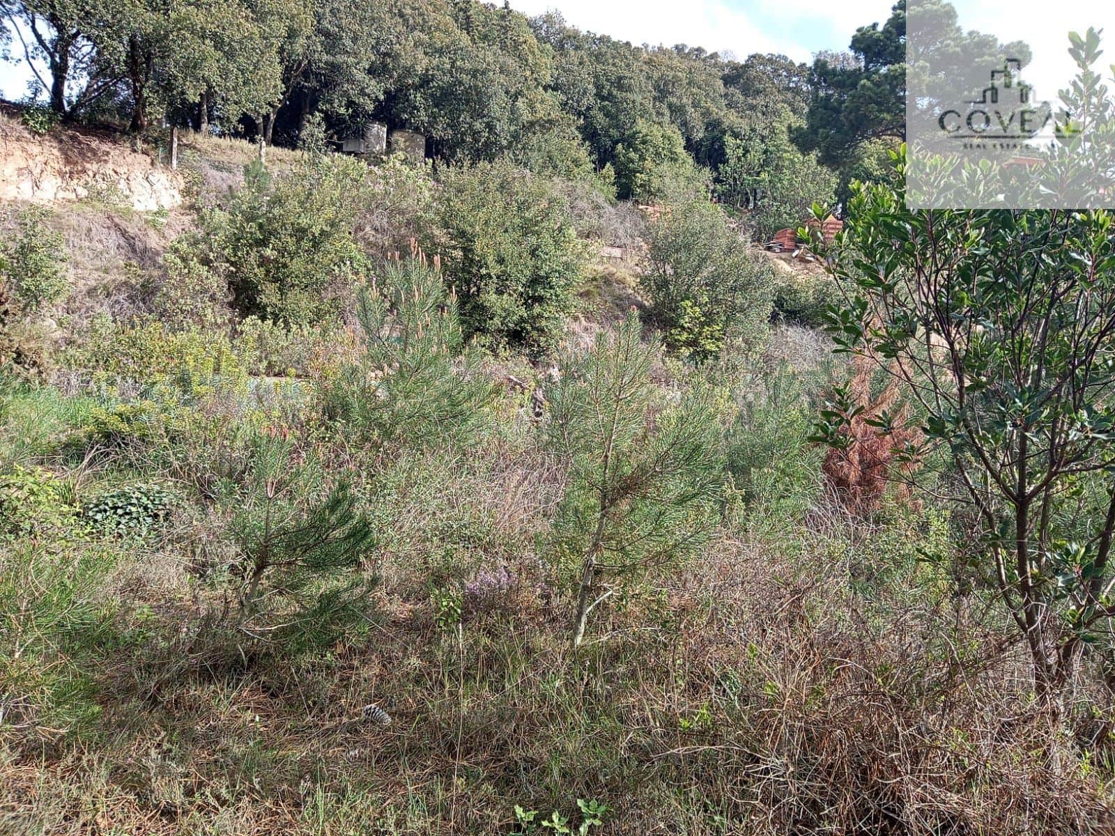 TERRENO SEMI-LLANO URBANIZABLE EN CAN VILARDELL MATARO - Foto 5