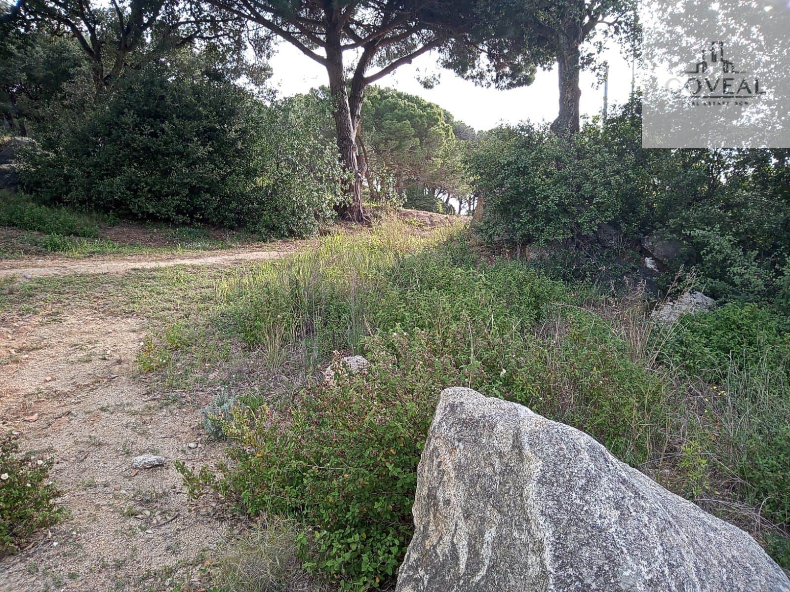 SOLAR TOTALMENTE LLANO CON TODOS LOS SERVICIOS ARGENTONA - Foto 1