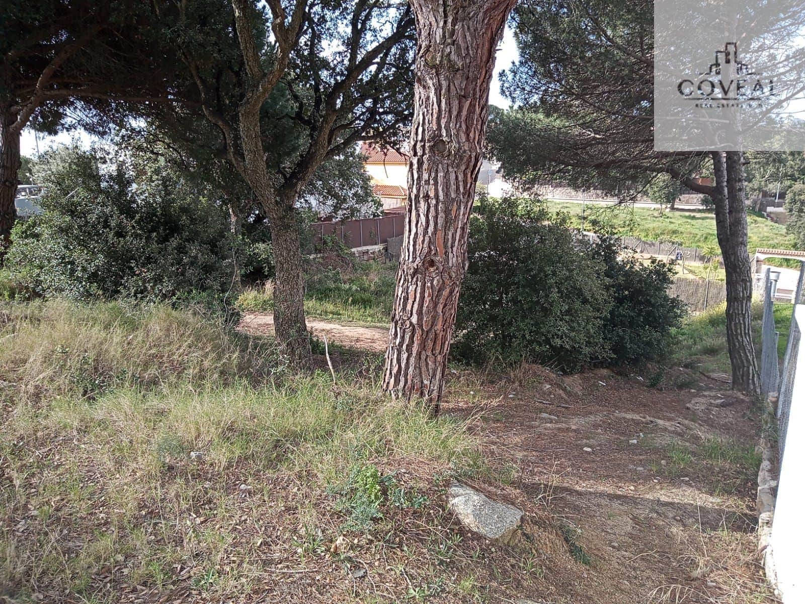 SOLAR TOTALMENTE LLANO CON TODOS LOS SERVICIOS ARGENTONA - Foto 3