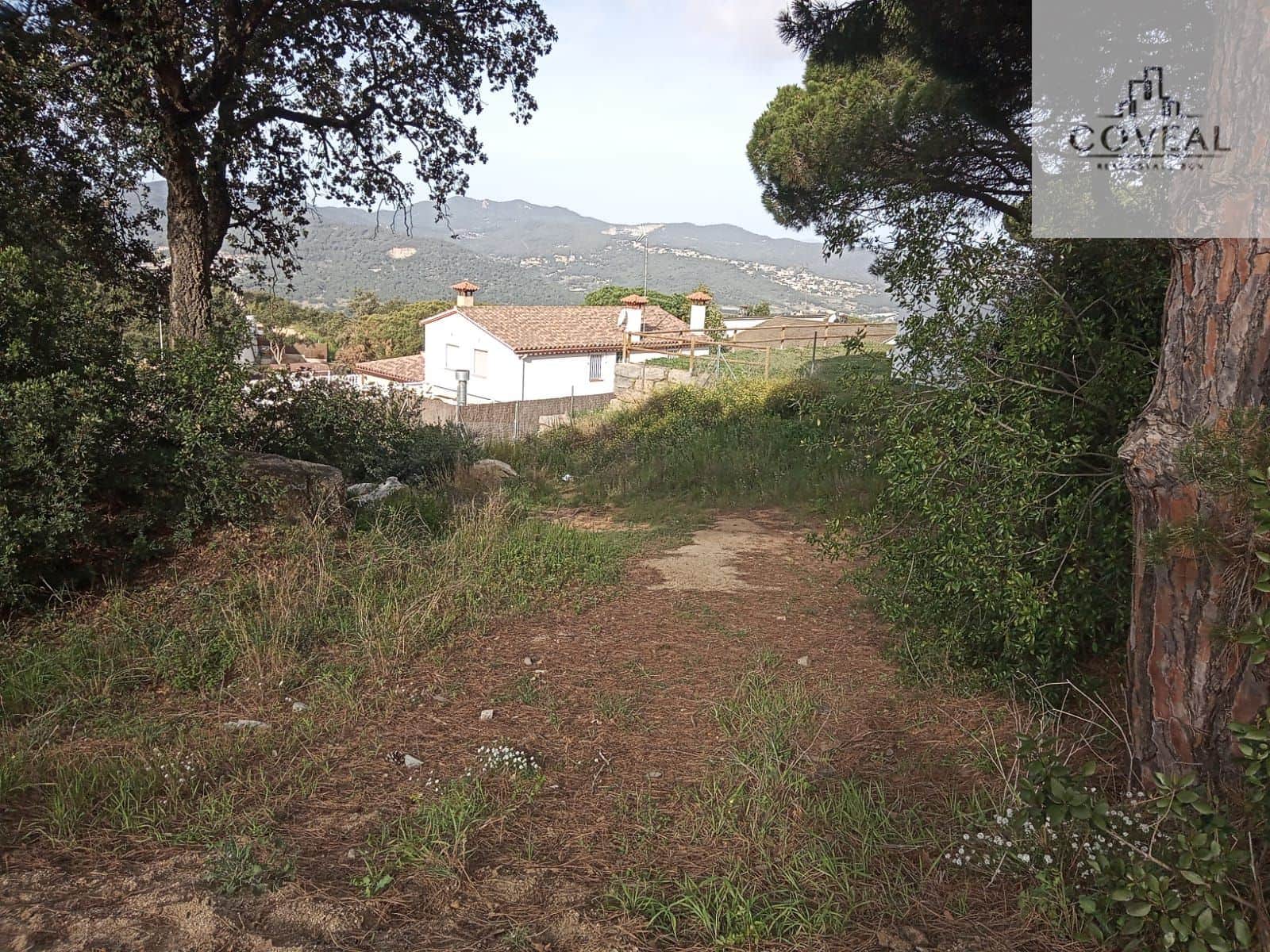 SOLAR TOTALMENTE LLANO CON TODOS LOS SERVICIOS ARGENTONA - Foto 4
