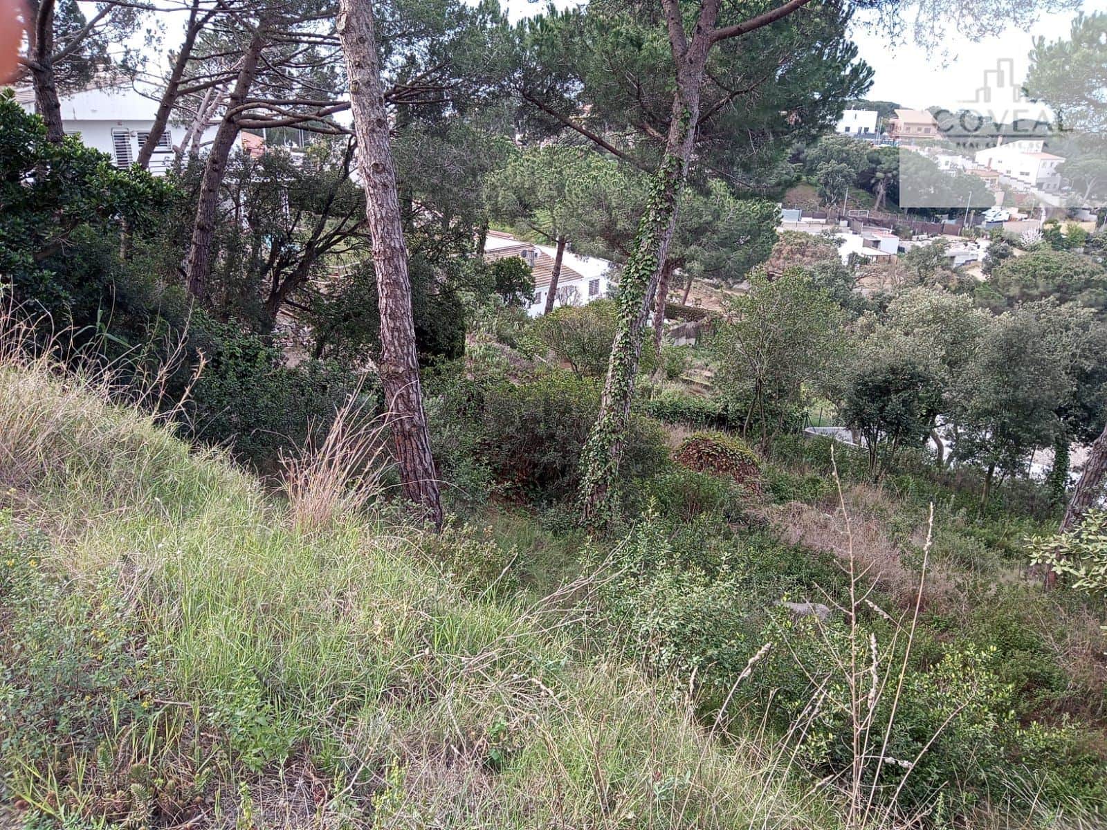 SOLAR UBICADO EN CAN VILARDELL CON TODOS LOS SERVICIOS ARGENTONA - Foto 5