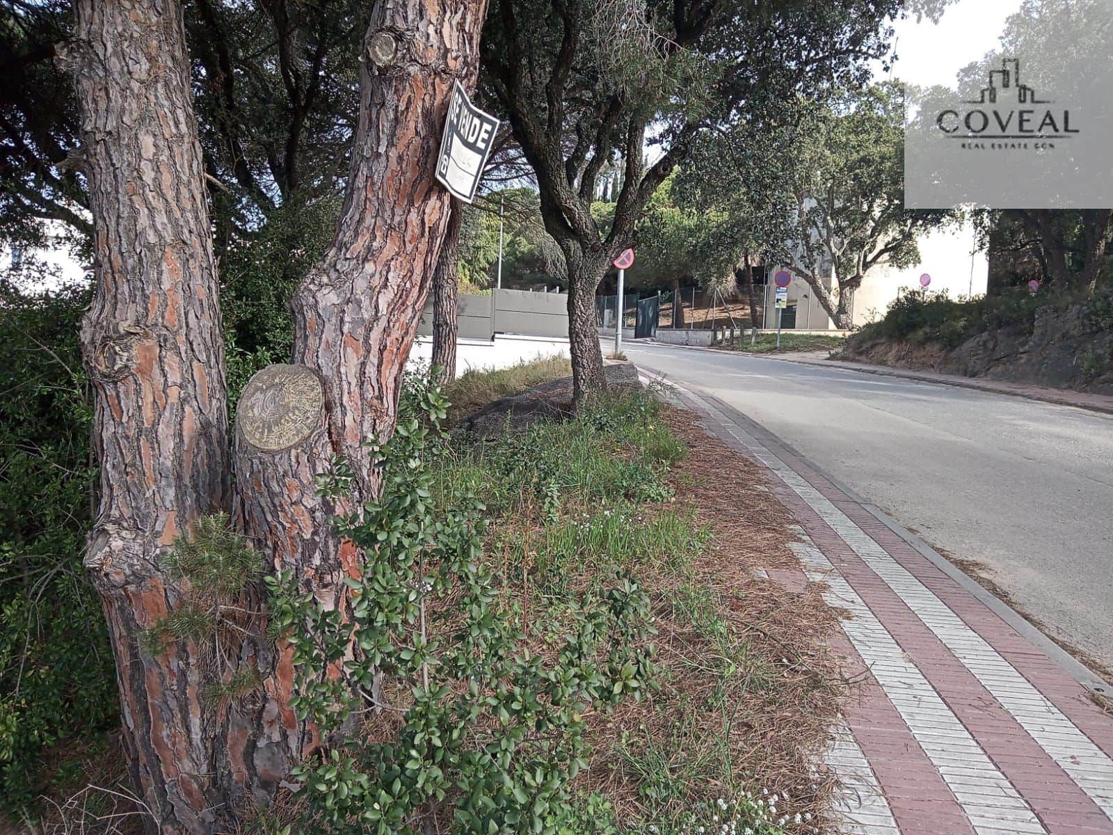 SOLAR UBICADO EN CAN VILARDELL CON TODOS LOS SERVICIOS ARGENTONA - Foto 1