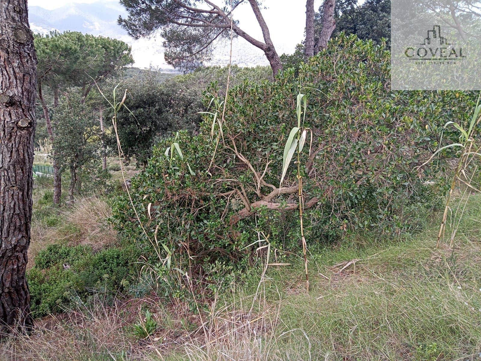 SOLAR UBICADO EN CAN VILARDELL CON TODOS LOS SERVICIOS ARGENTONA - Foto 2