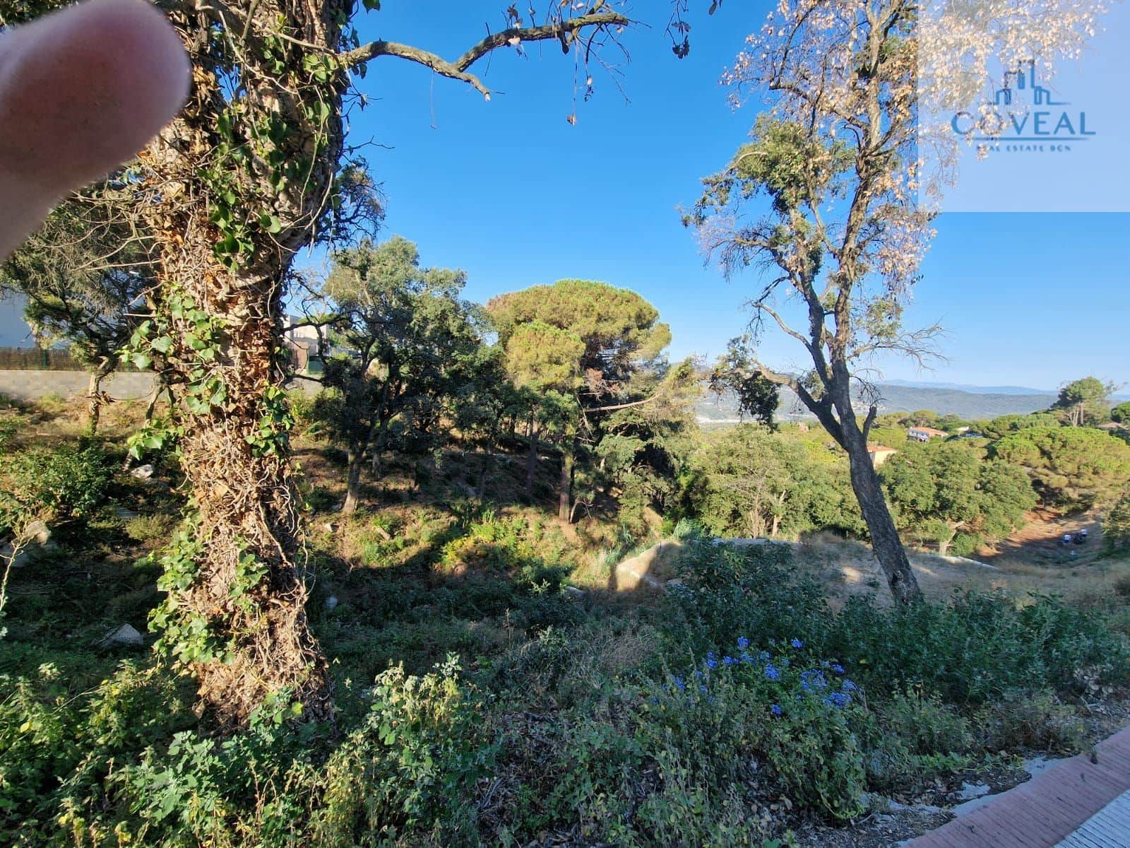 TERRENO DE 820 m2 CON PROYECTO REALIZADO - Foto 2