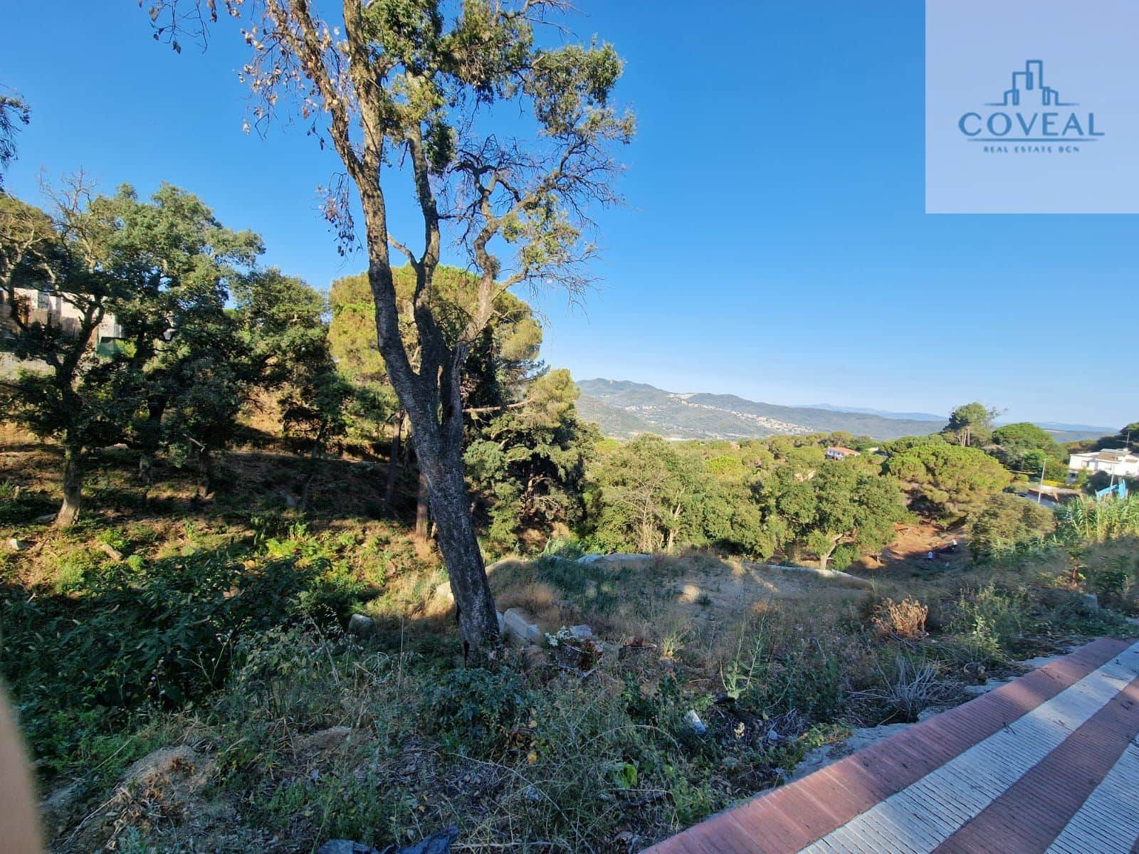 TERRENO DE 820 m2 CON PROYECTO REALIZADO - Foto 1