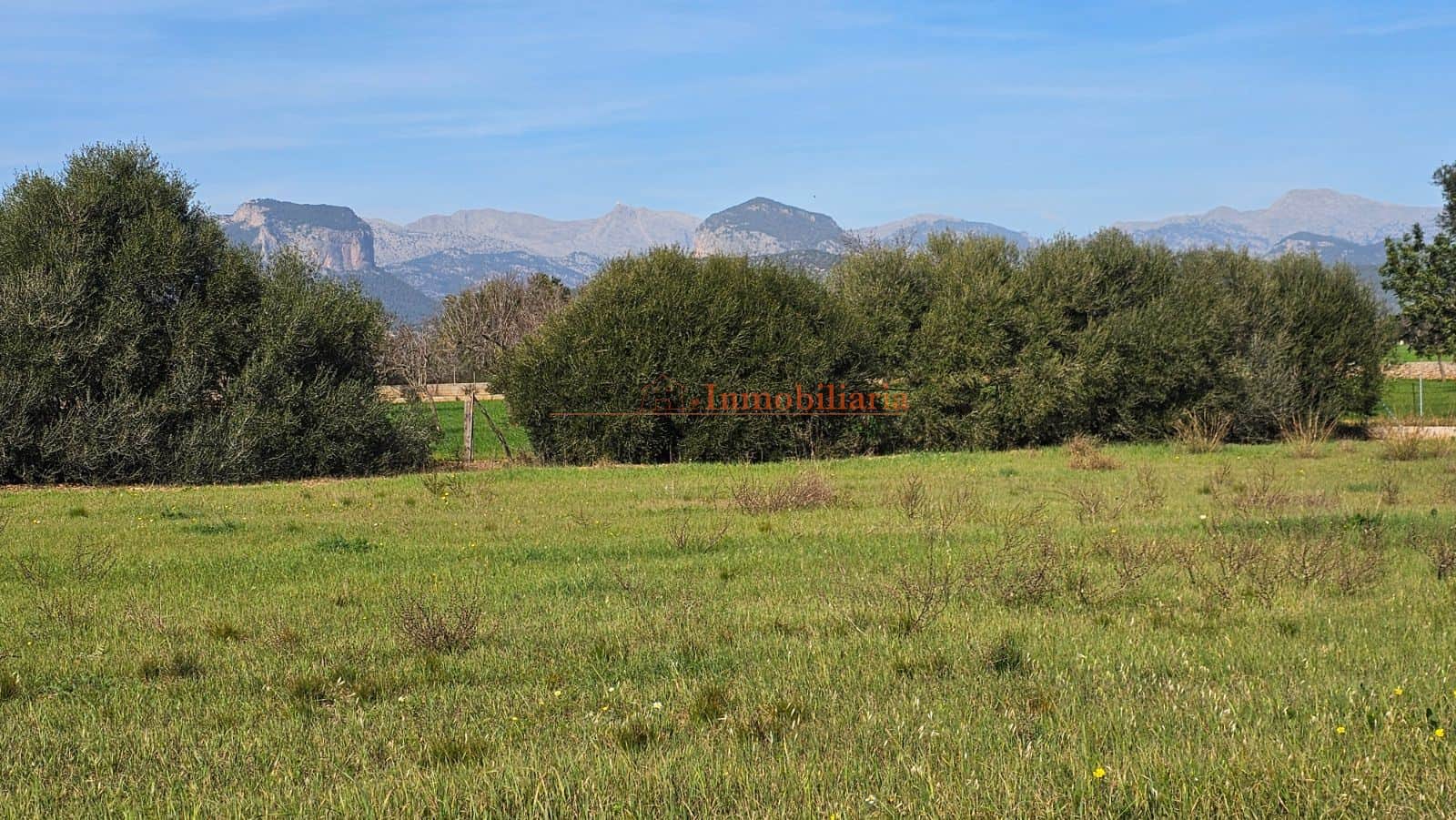 TERRENO RÚSTICO EDIFICABLE EN CONSELL - Foto 3
