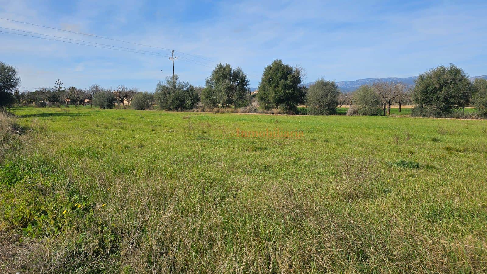 TERRENO RÚSTICO EDIFICABLE EN CONSELL - Foto 5