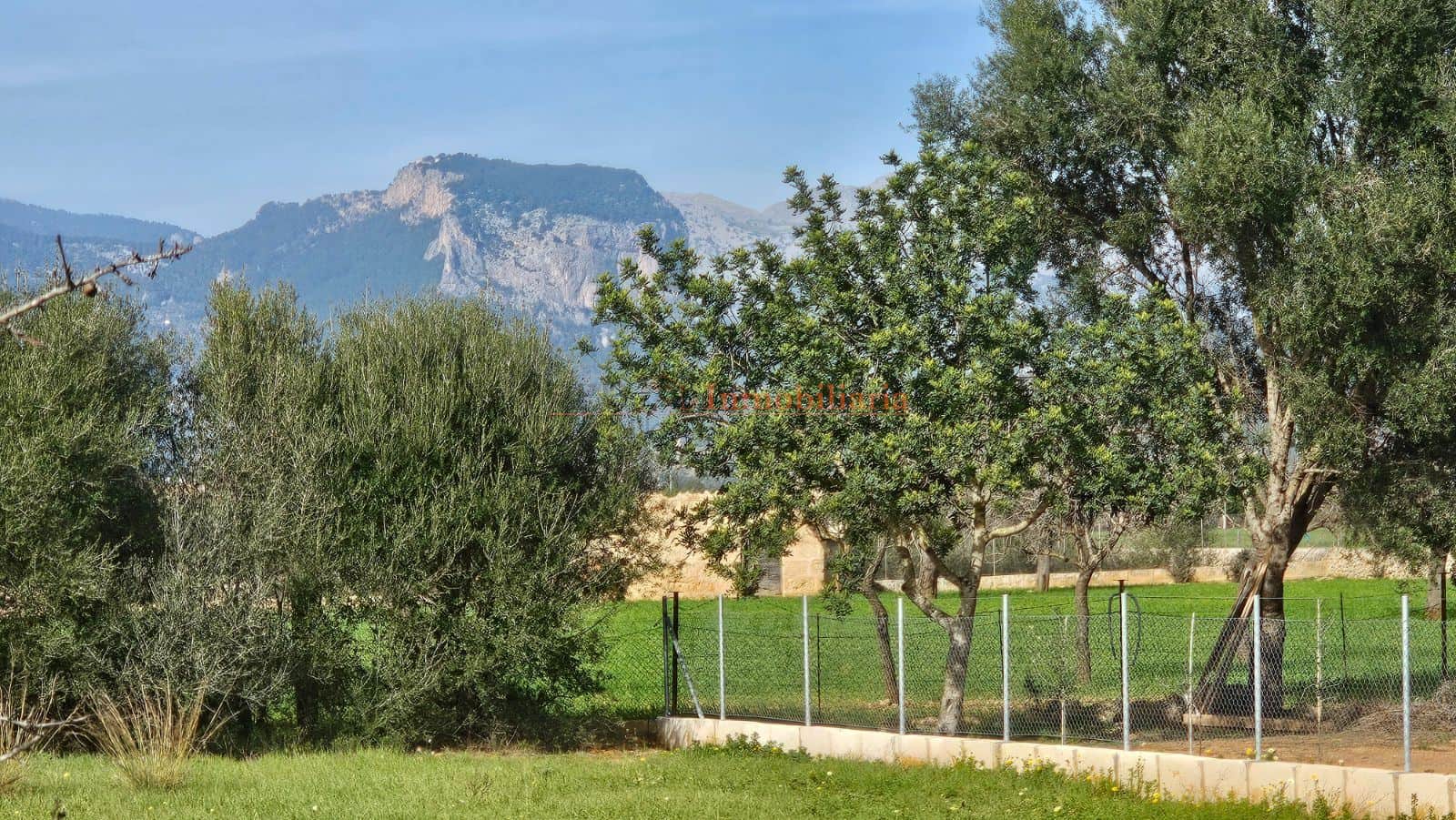 TERRENO RÚSTICO EDIFICABLE EN CONSELL - Foto 4